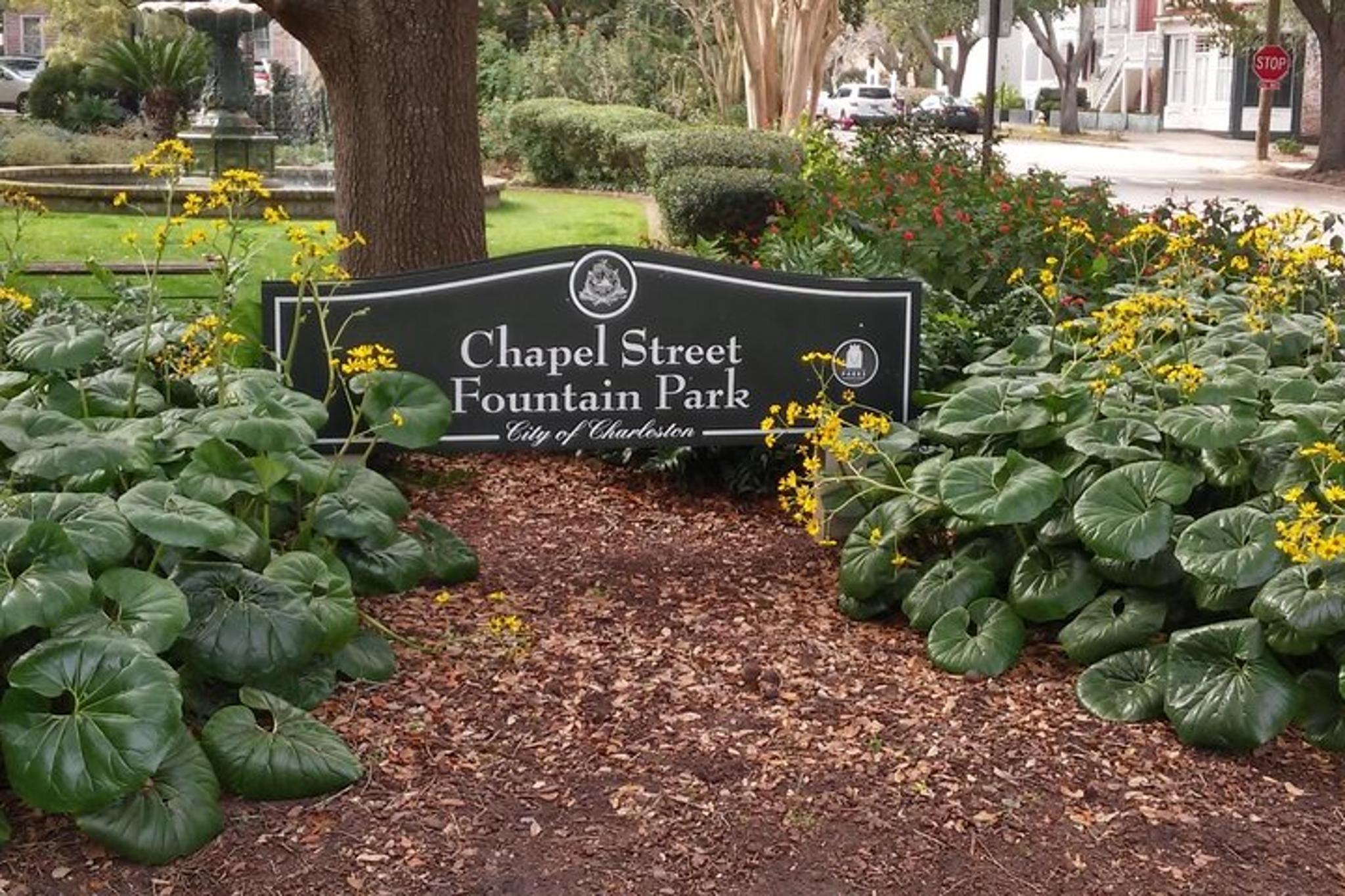 Charleston Walking Tour - Image 3