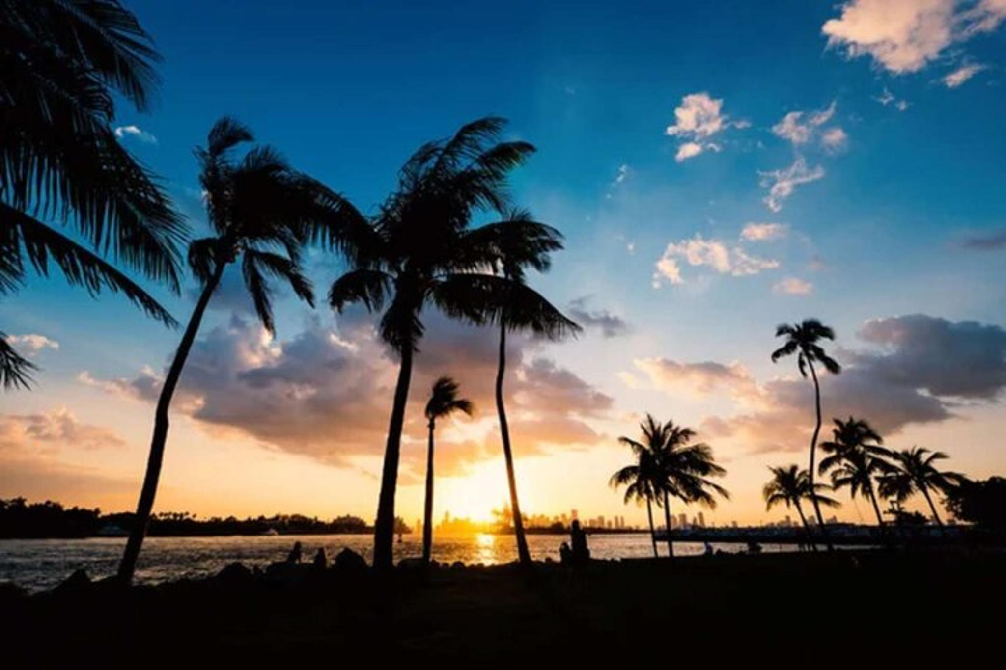 Miami Full Experience Tour 6 hr - Image 6