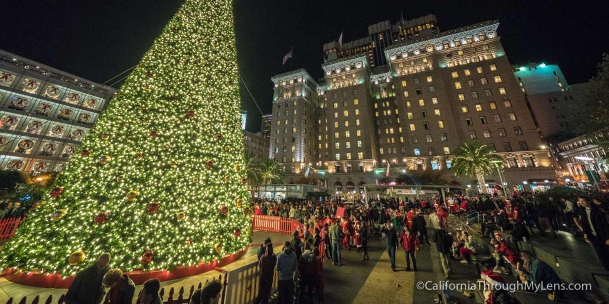 San Francisco Walking or Driving Tour - Image 4