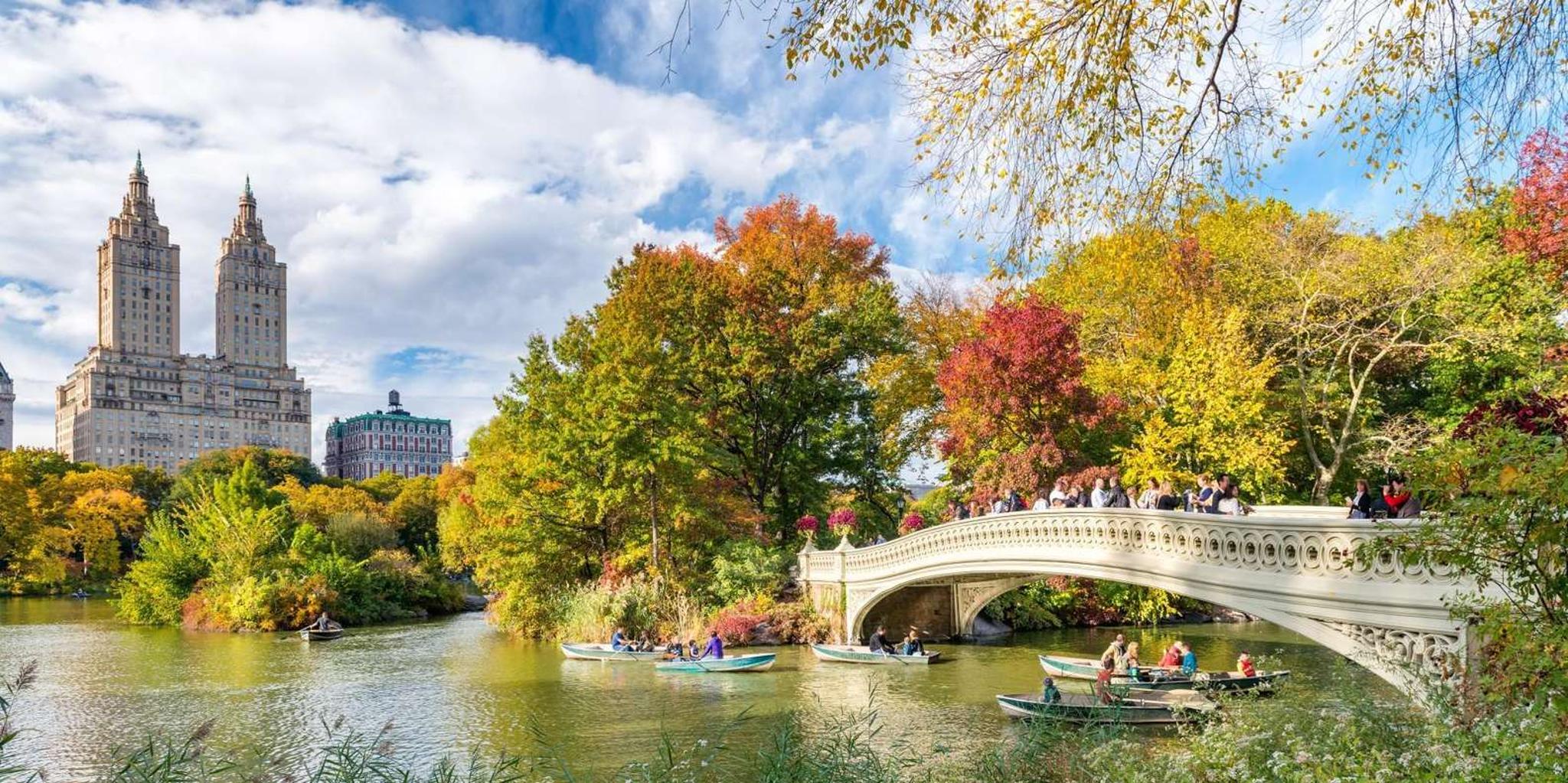 New York Central Park Walking Tour with Transfers