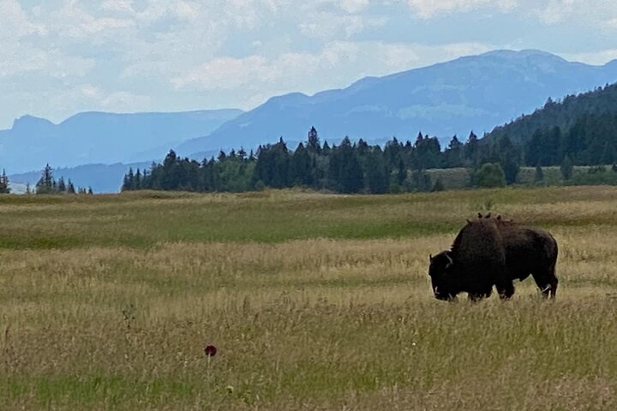 Grand Teton Private Tour