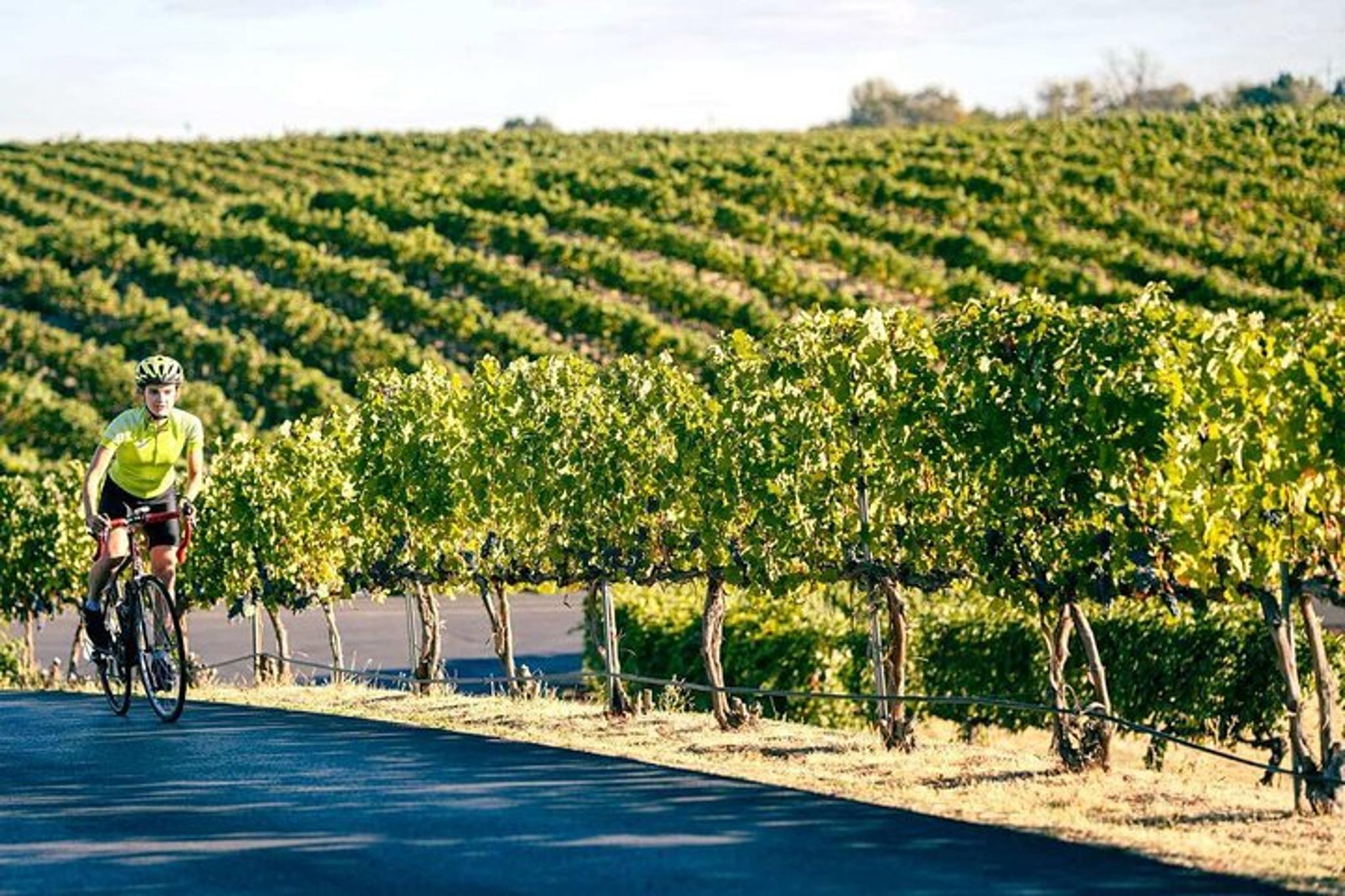 Seattle Wine Tasting Tour in Eastern WA - Image 2