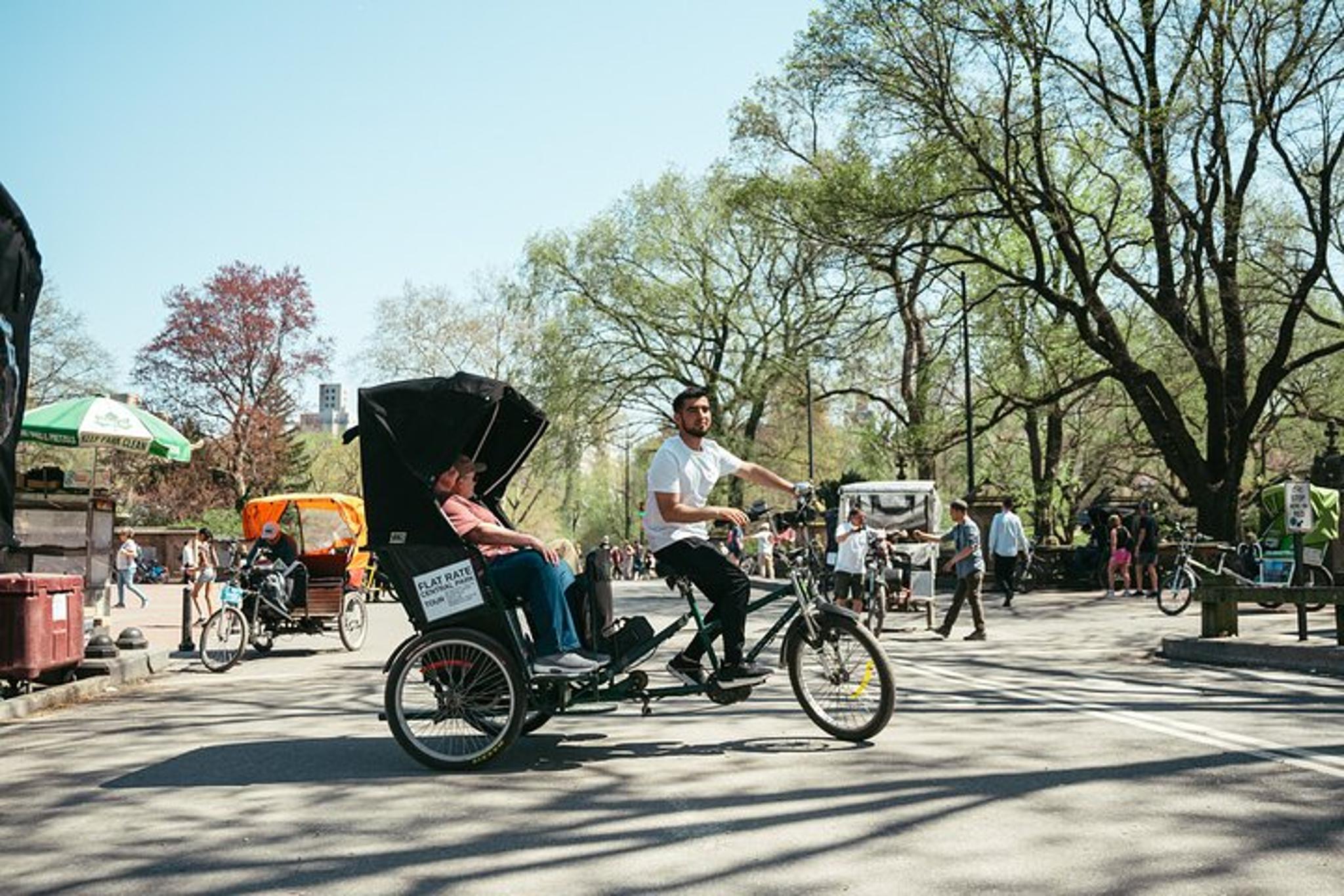 New York Central Park Pedicab Tour - Image 6