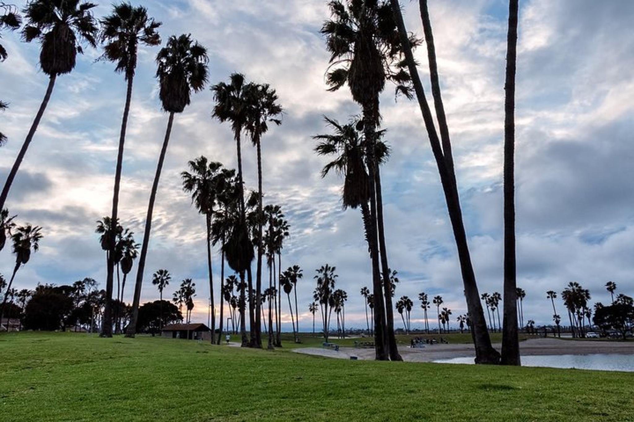 San Diego Coastal Tour with Private Driver - Image 3