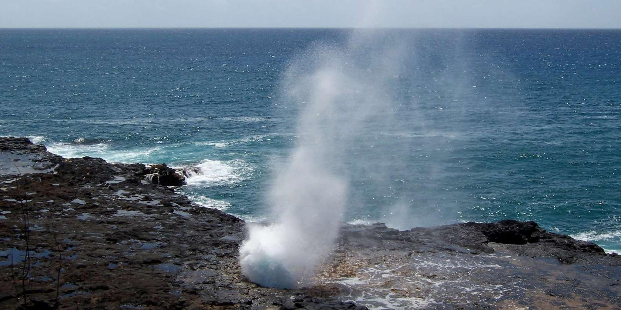 Kauai Private Tour - Image 5