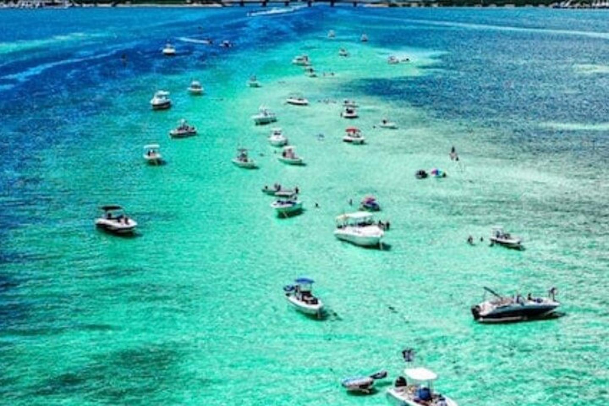 Miami Party Boat Sandbar Tour - Image 6