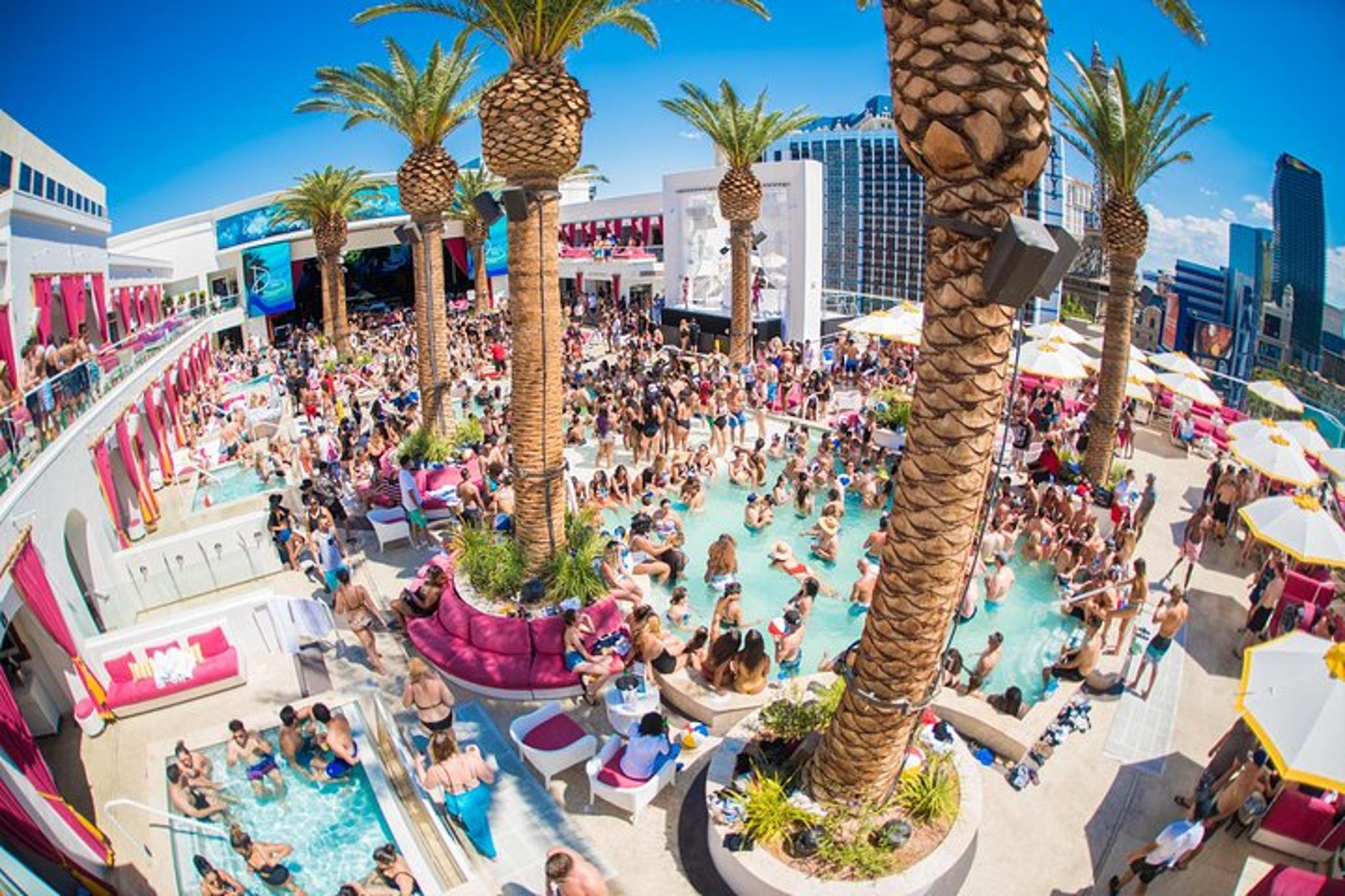 Las Vegas Dayclub Crawl - Image 4