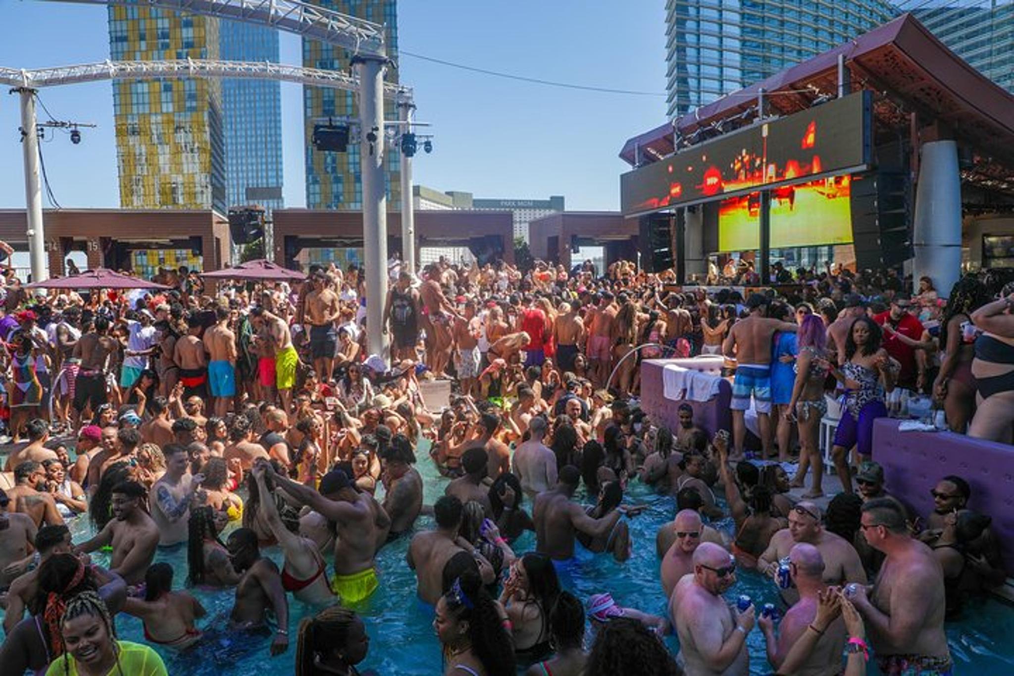 Las Vegas Dayclub Crawl - Image 6