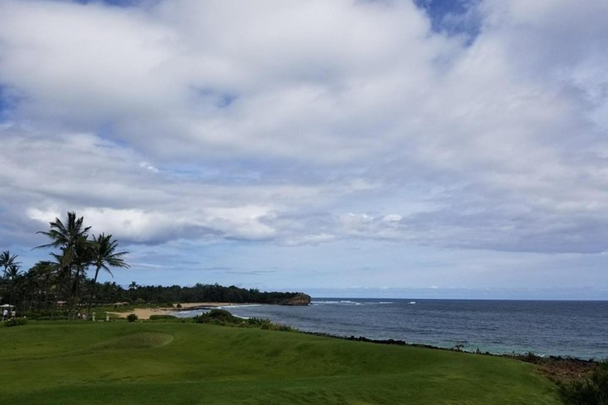 Kauai Private Tour: Waimea Canyon and Southside - Image 6