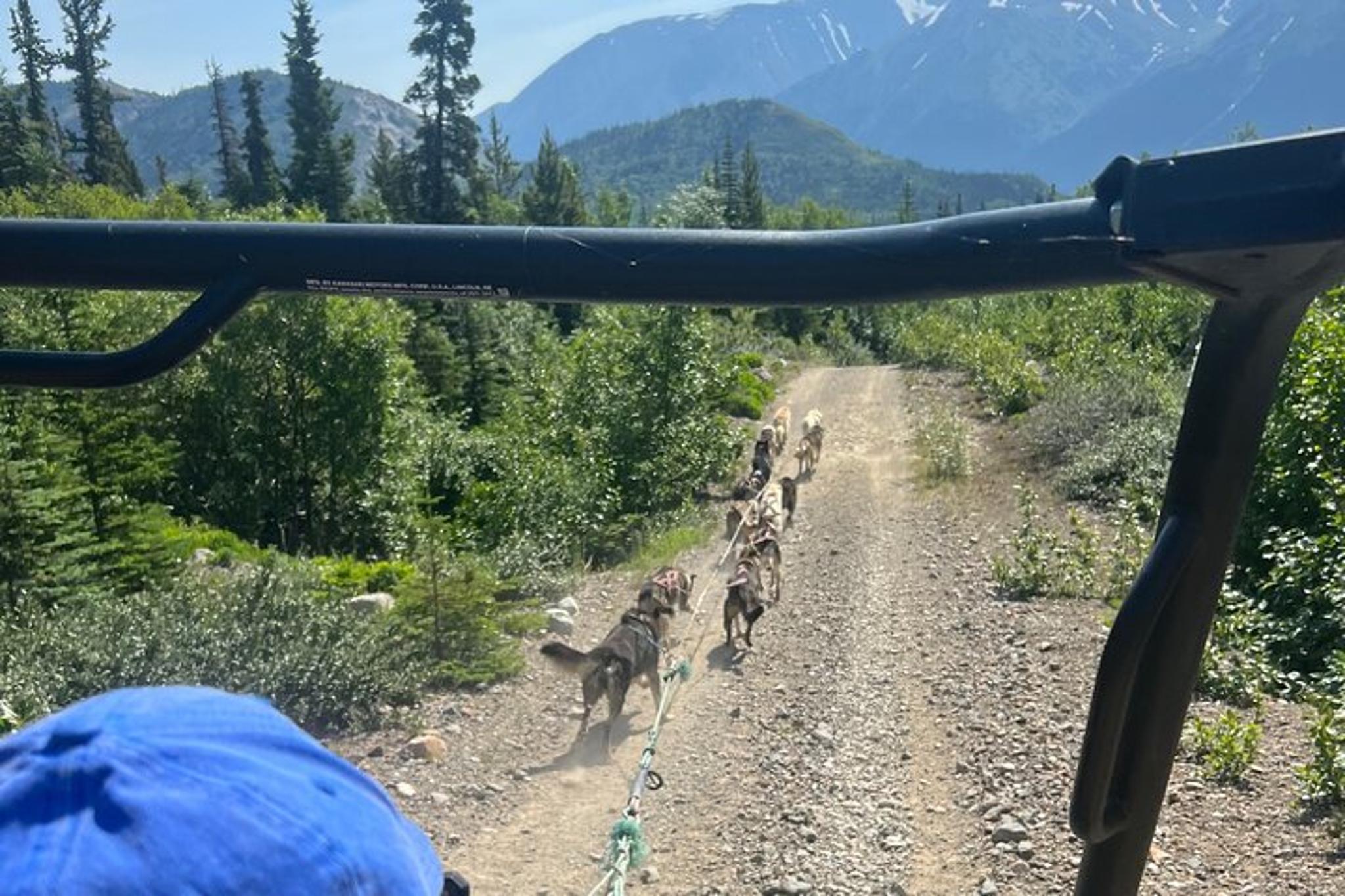 Skagway Yukon Dog Mushing Adventure Full-Day Tour - Image 2