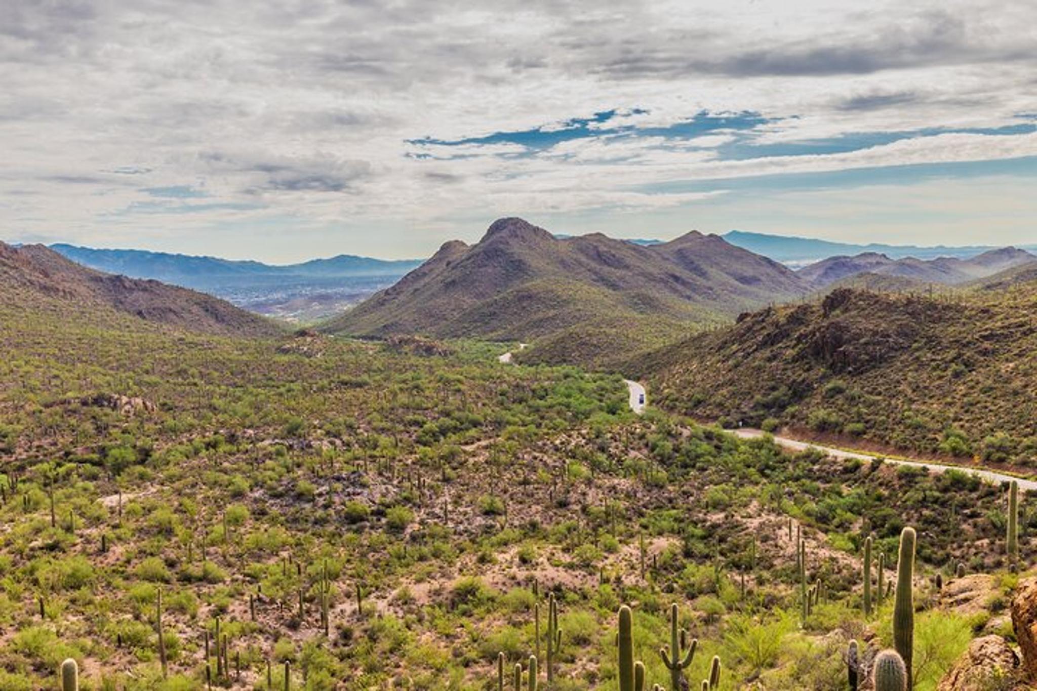 Tucson Saguaro National Park Self-Guided Audio Tour