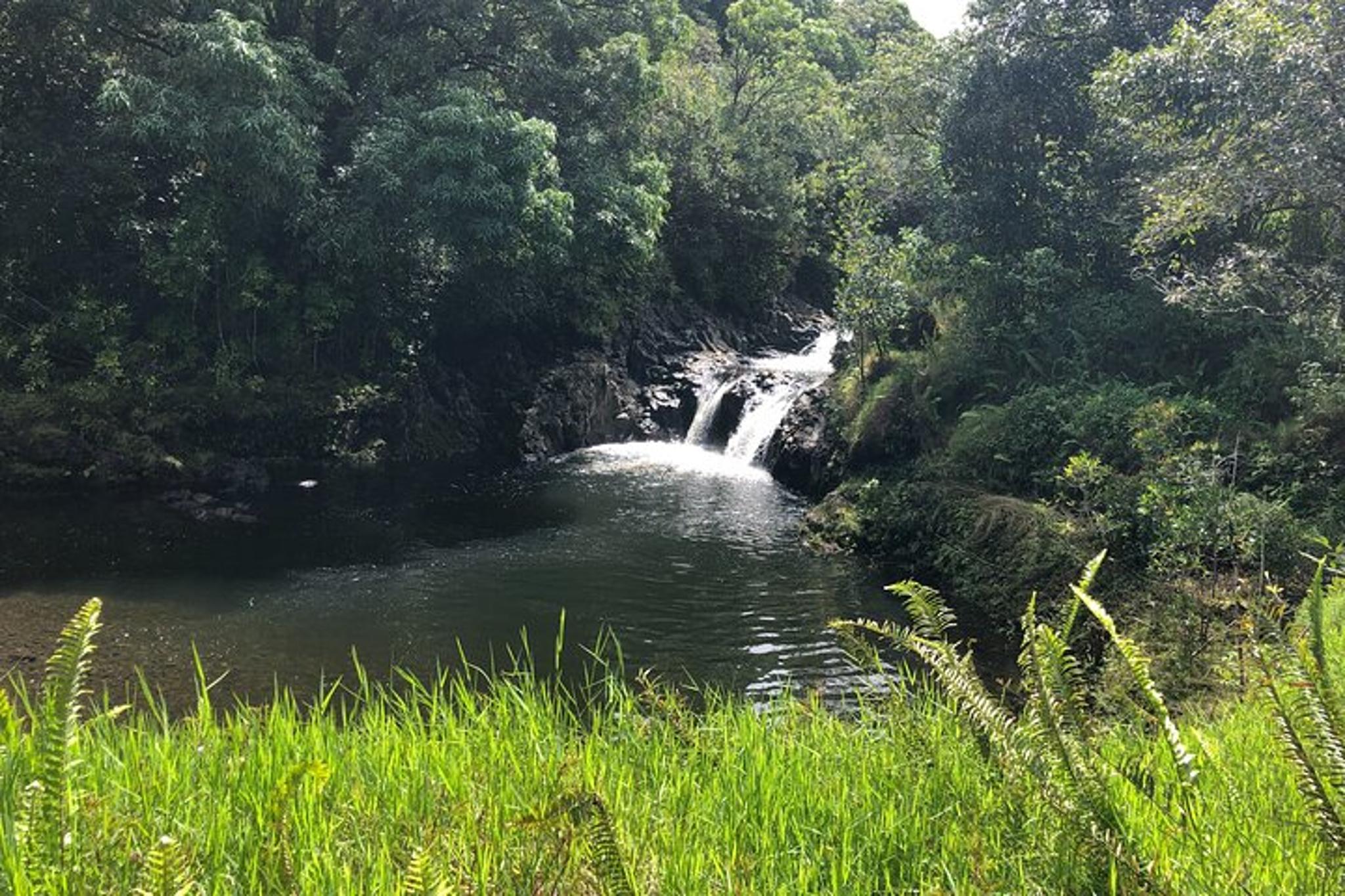 Maui Road to Hana and Waterfall Hike - Image 2
