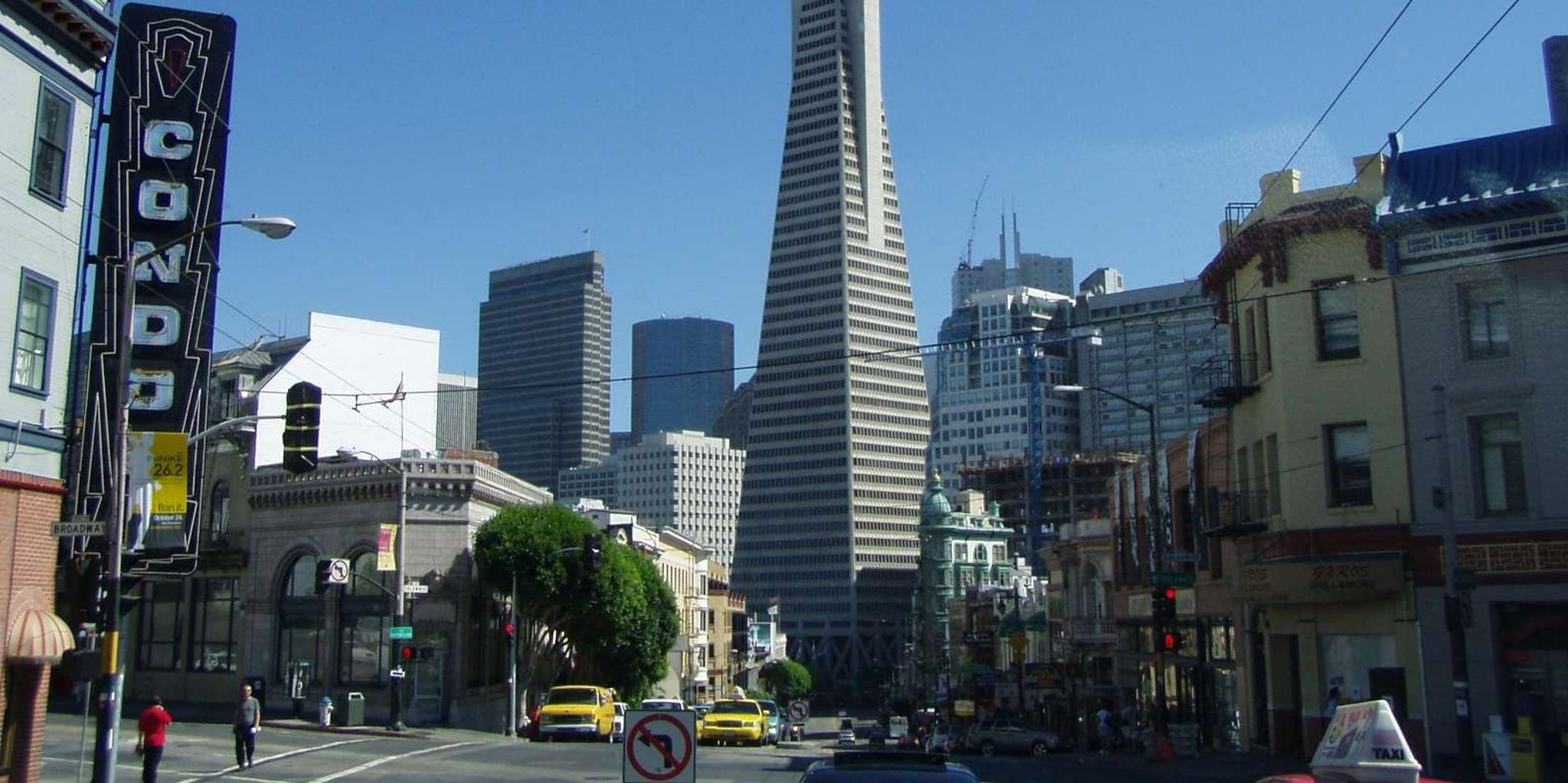 San Francisco Muir Woods and Hop-On Hop-Off Tour - Image 6