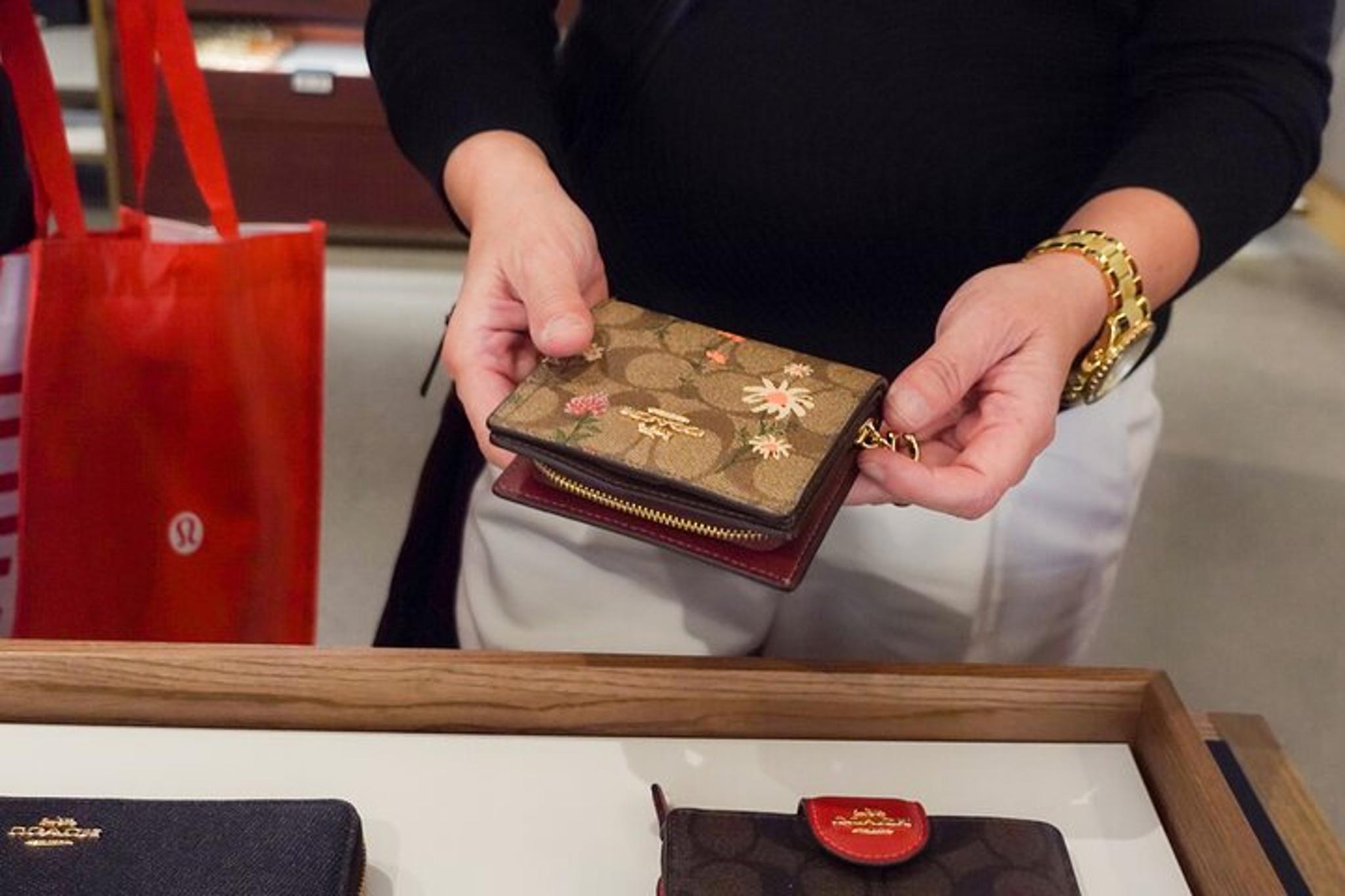 Las Vegas Shopping Tour with Personal Stylist 2 hr - Image 5