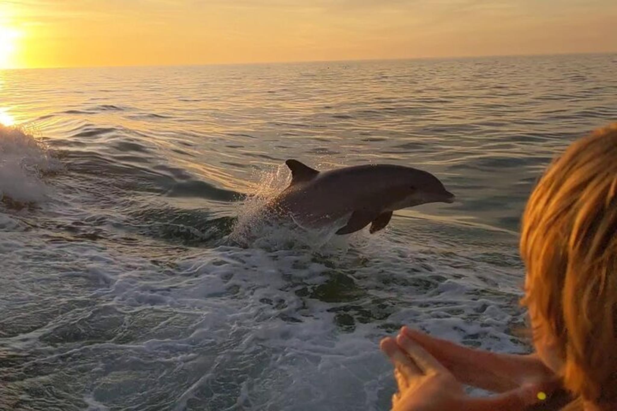 Panama City Dolphin and Sightseeing Tour - Image 3