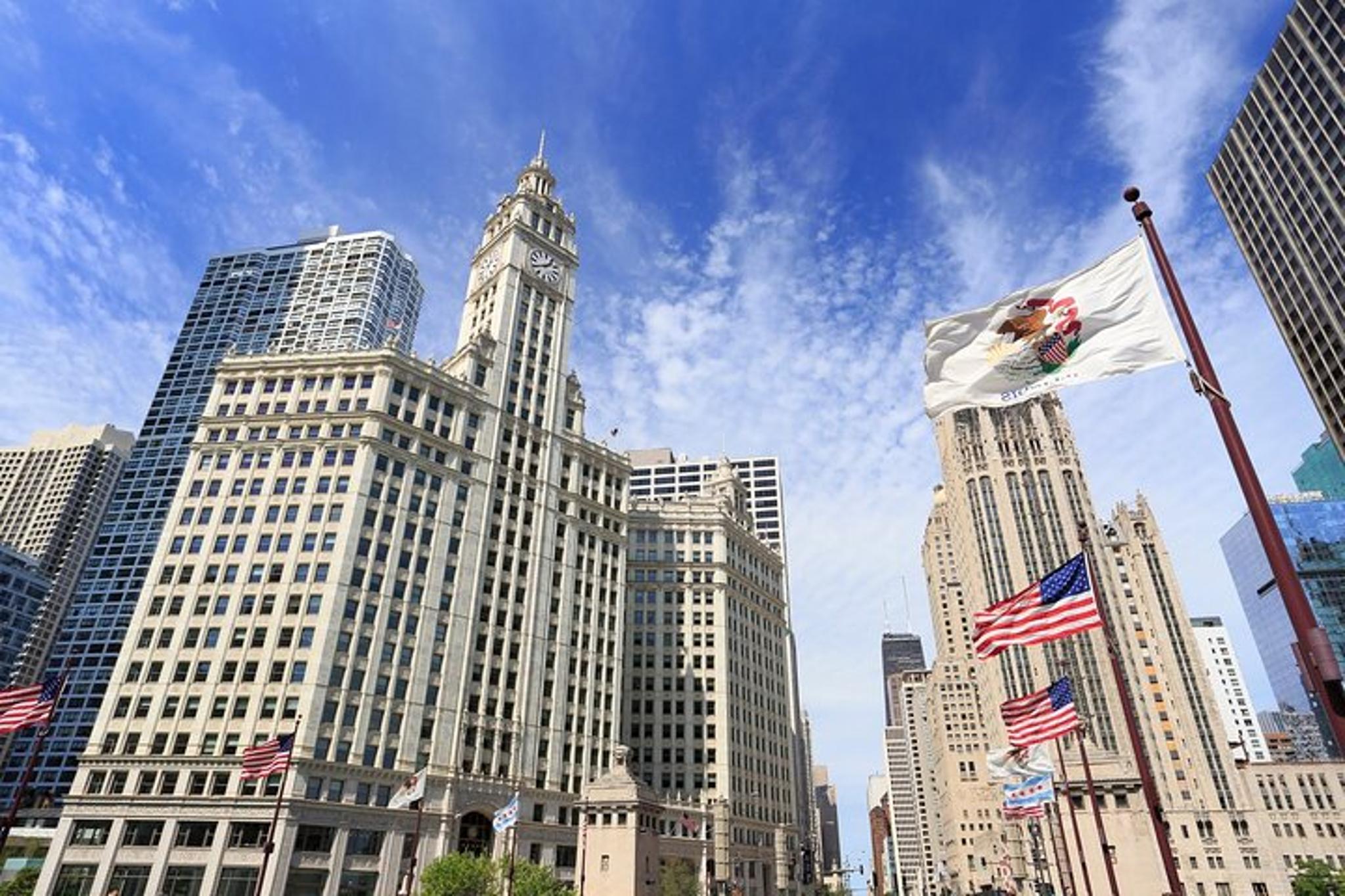 Chicago Downtown Private Walking Tour - Image 3