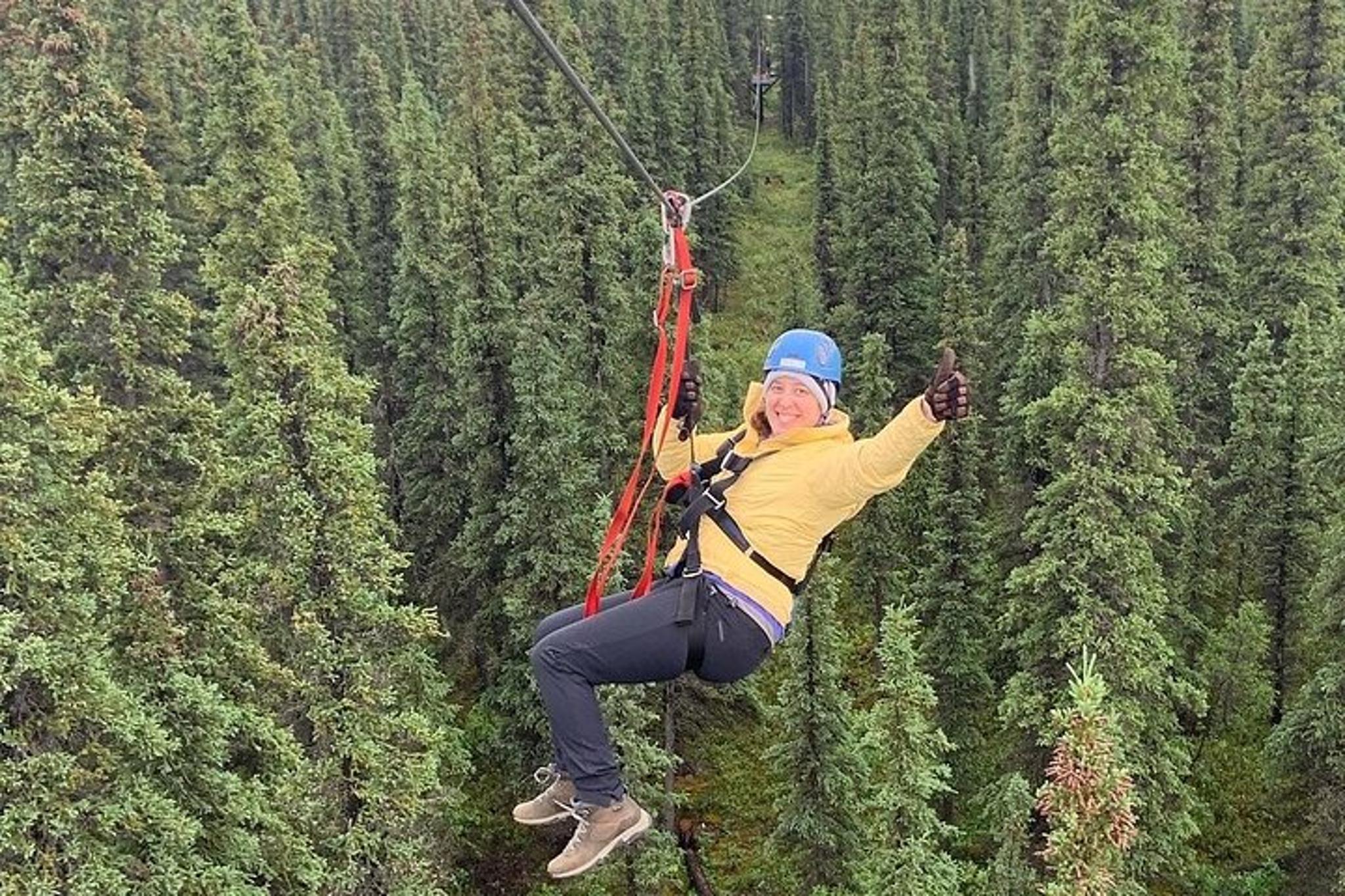 Denali Zipline Adventure - Image 5