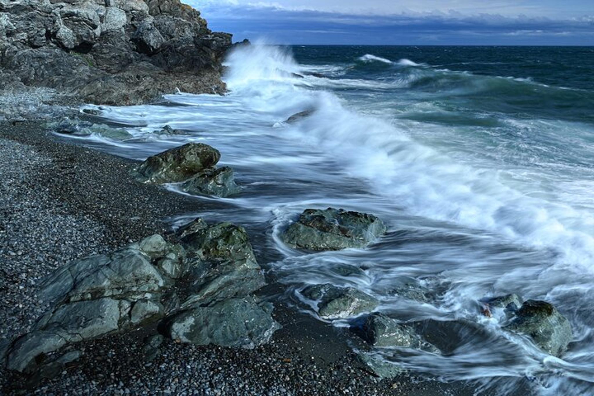 San Juan Islands Wildlife and Coast Tour - Image 2
