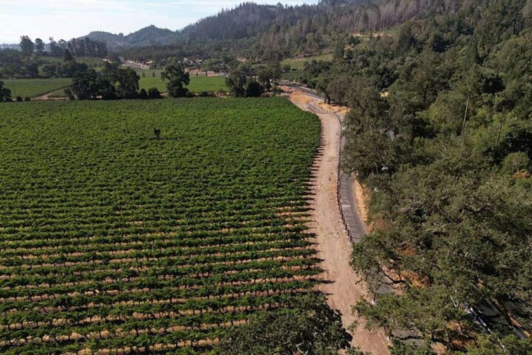 Napa Valley E-Bike Tour - Image 2