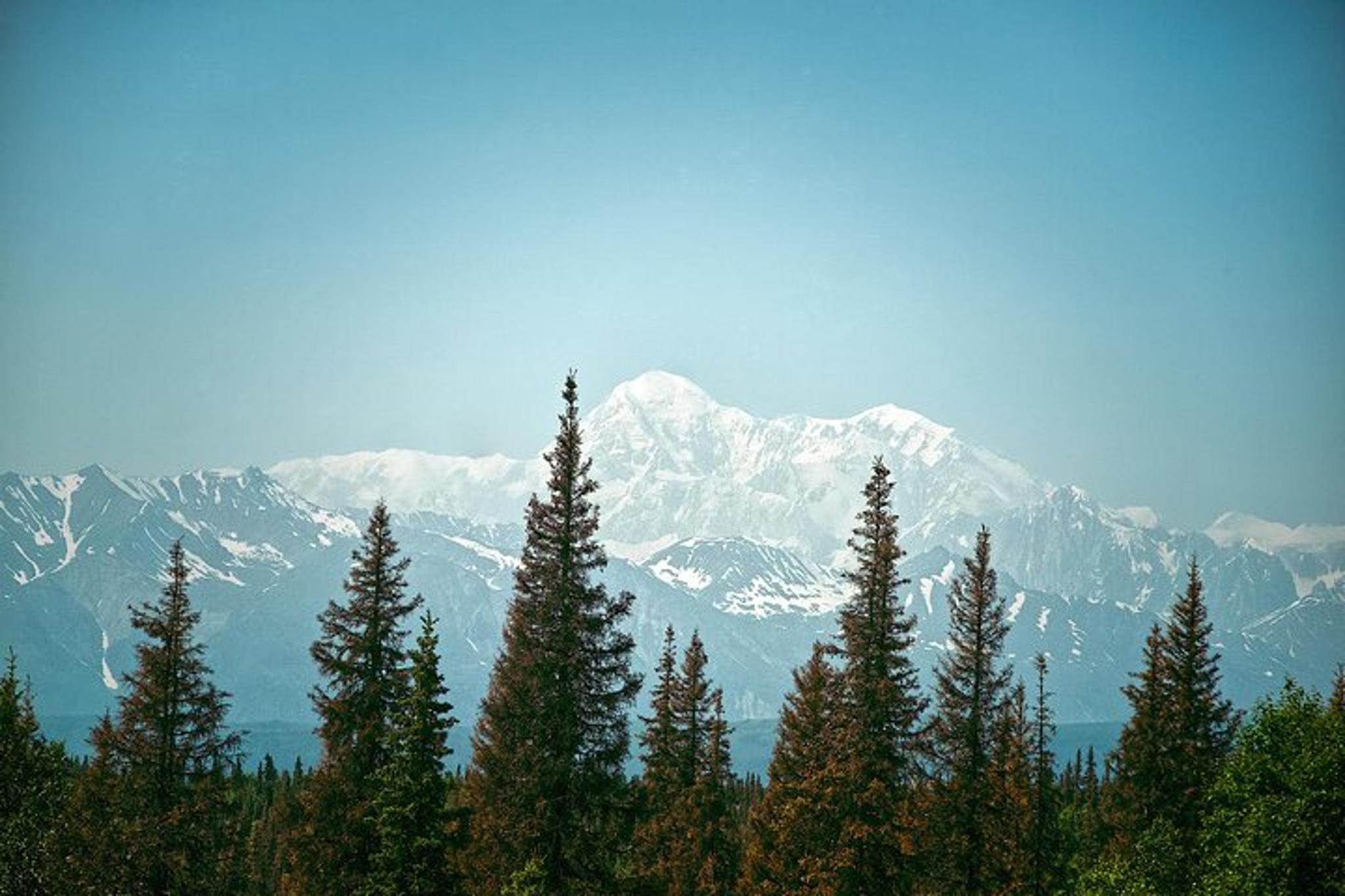 Fairbanks Denali National Park Day Tour - Image 5