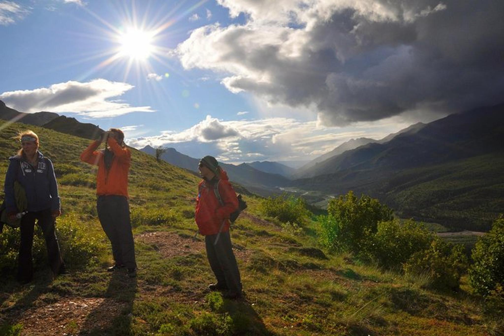Denali Hiking Tour with Naturalist Guide 5 hr - Image 2