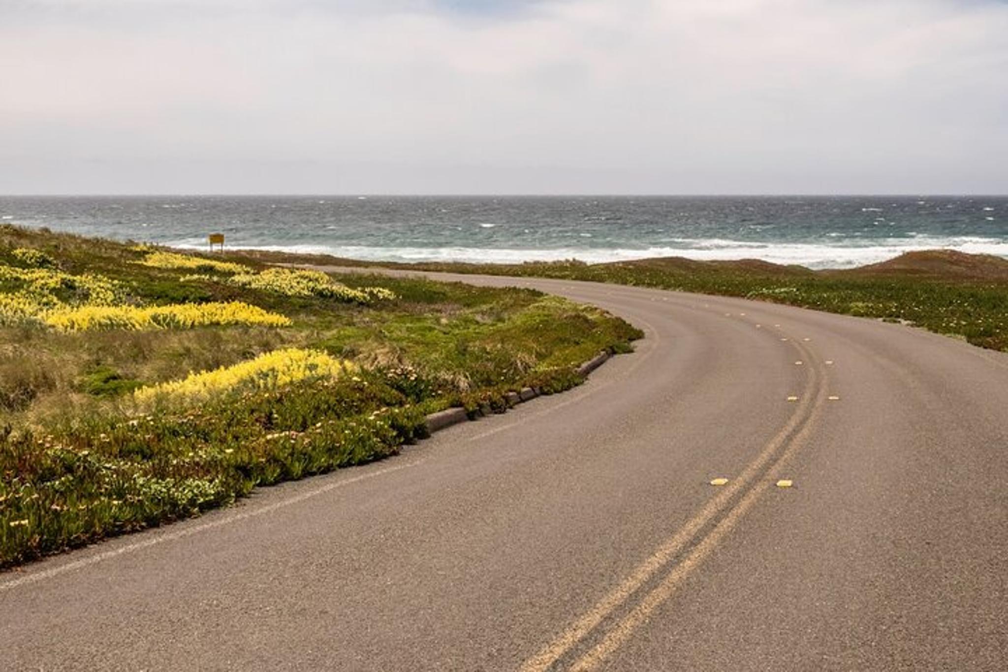 Point Reyes Self-Guided Audio Driving Tour - Image 2