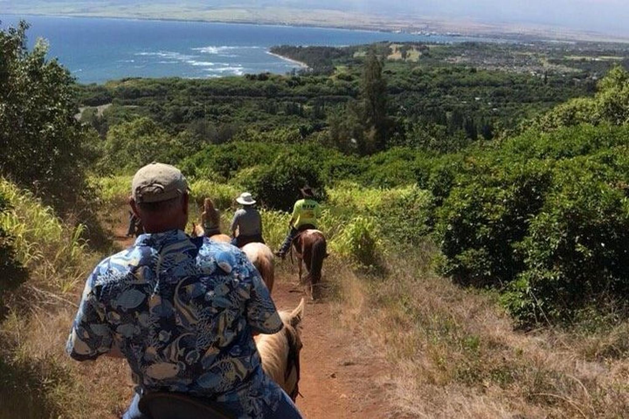 Maui Horseback Waterfall and Ocean Tour - Image 3