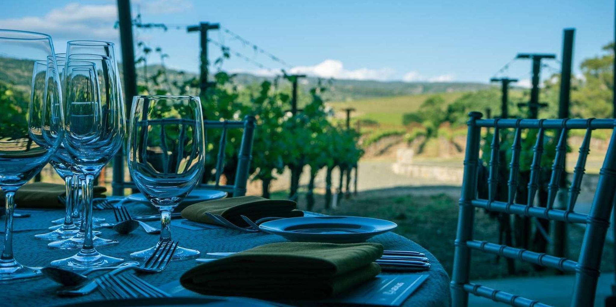 San Francisco Napa Valley Winery Tour - Image 5