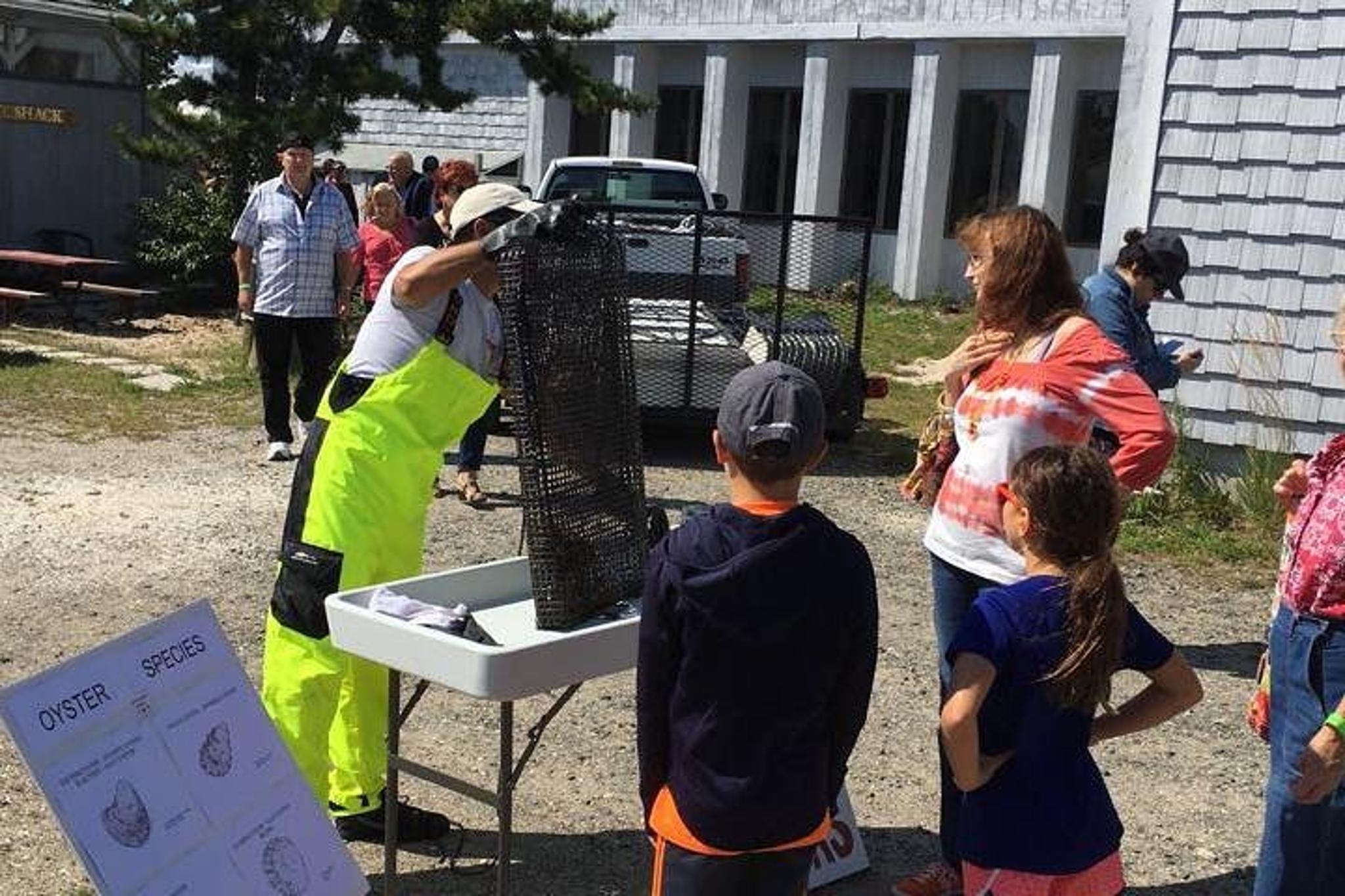 Southold Oyster Farm Tour - Image 2