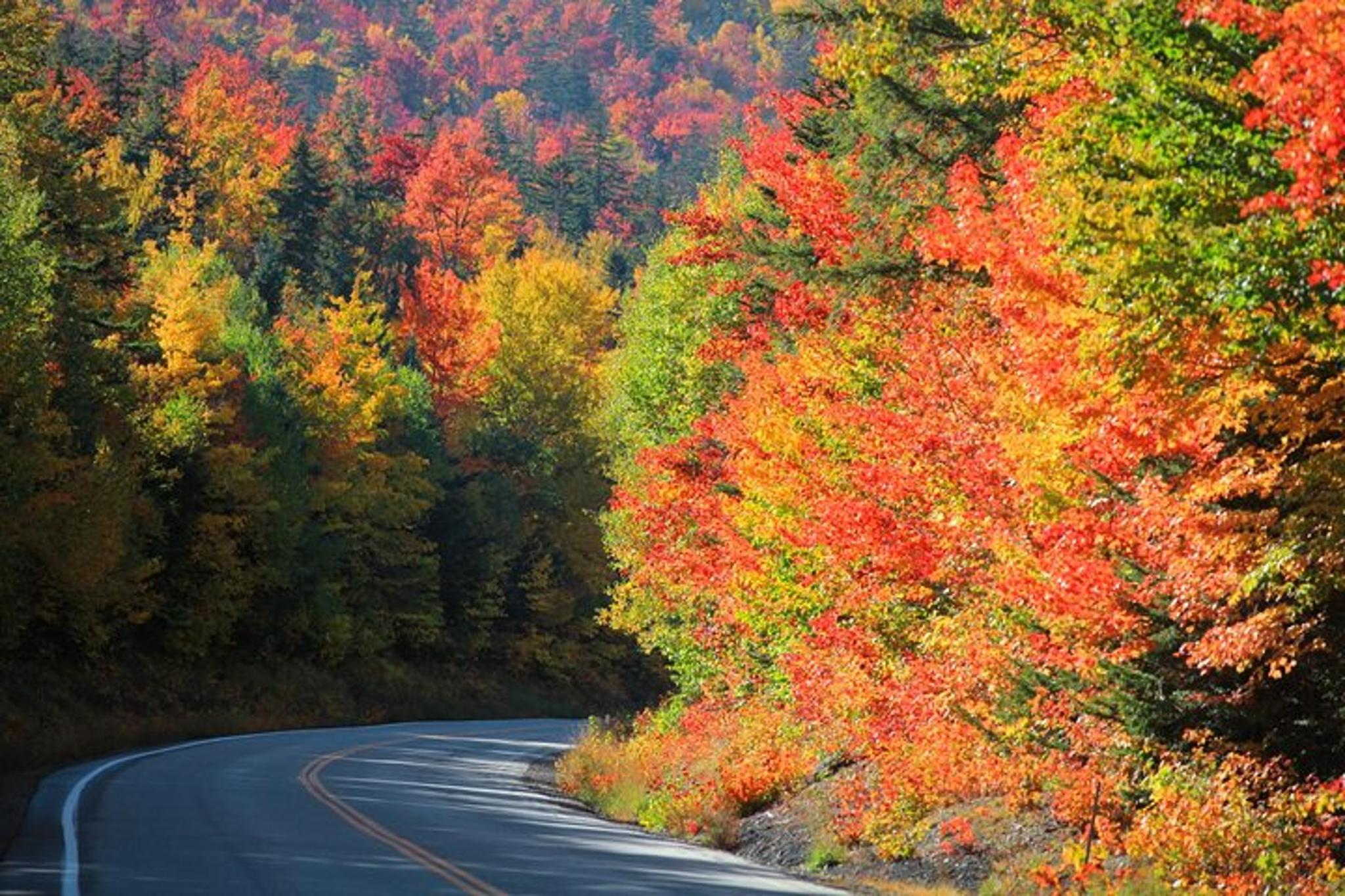 Kancamagus Scenic Byway Self-Guided Audio Tour - Image 6