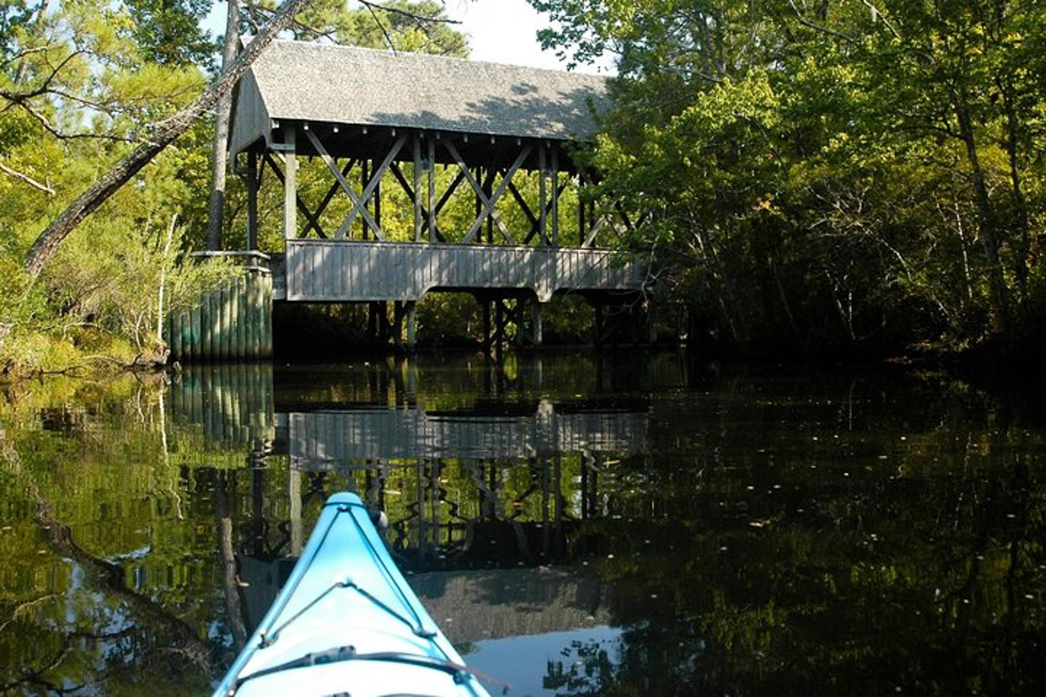 Kitty Hawk Maritime Forest Kayak Tour - Image 3