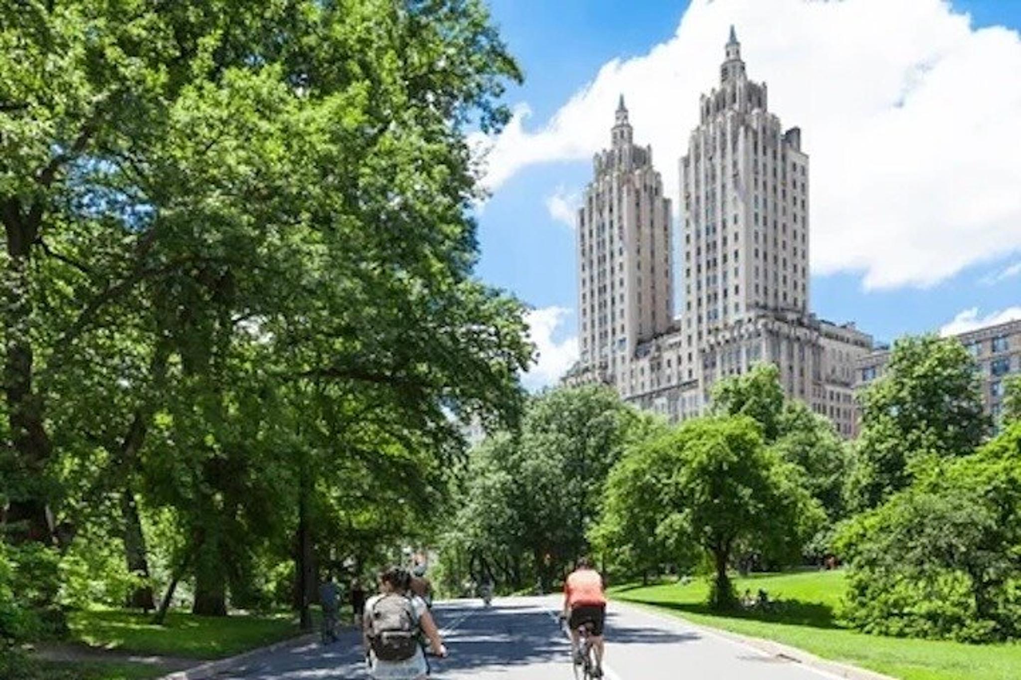 New York Walking Tour and Central Park Cycling - Image 3