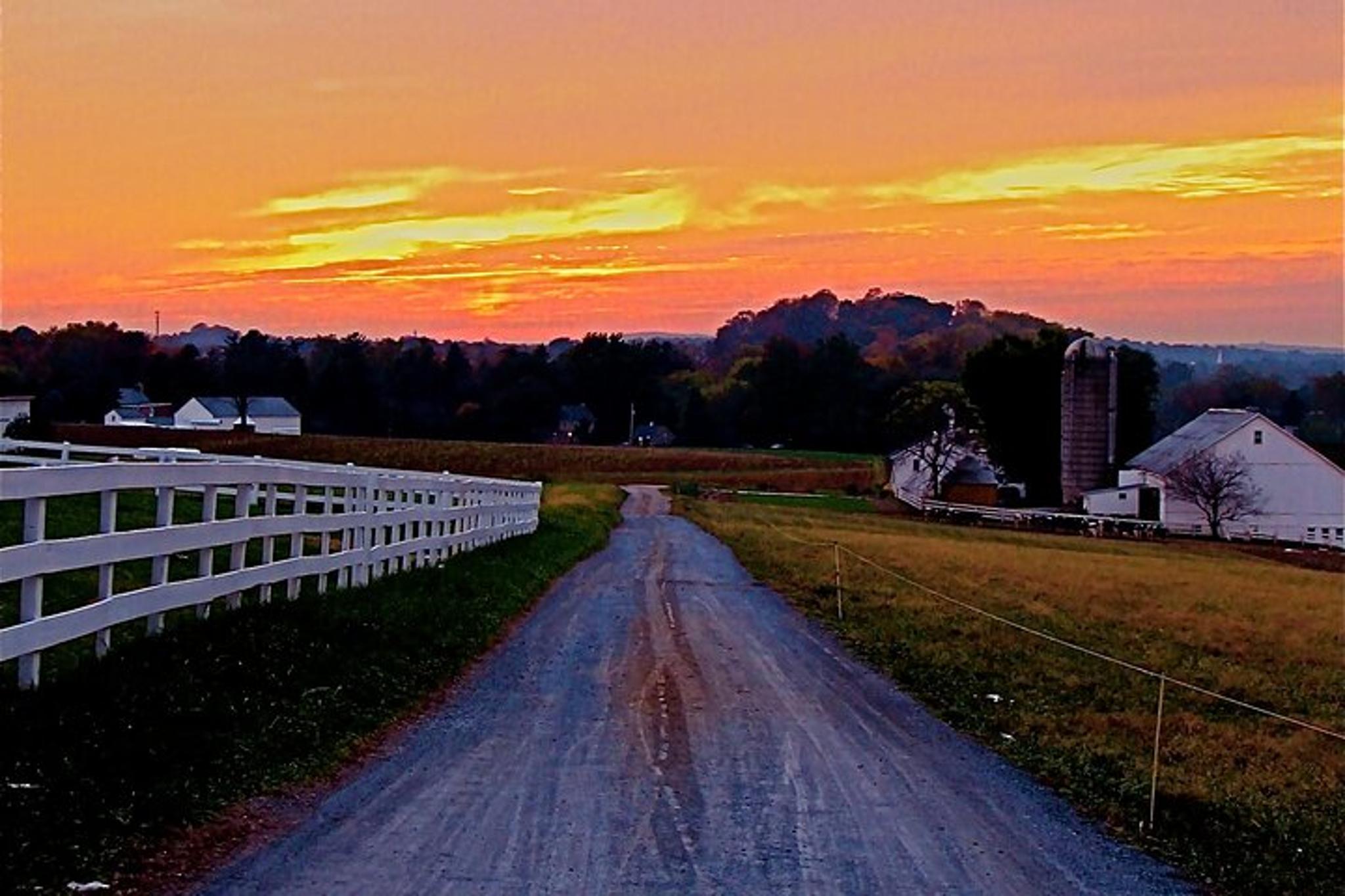 Lancaster Amish Home Meal Experience - Image 4