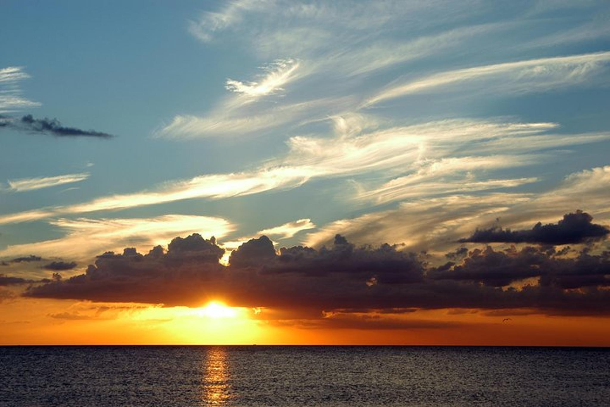 South Padre Island Sunset Cruise - Image 6