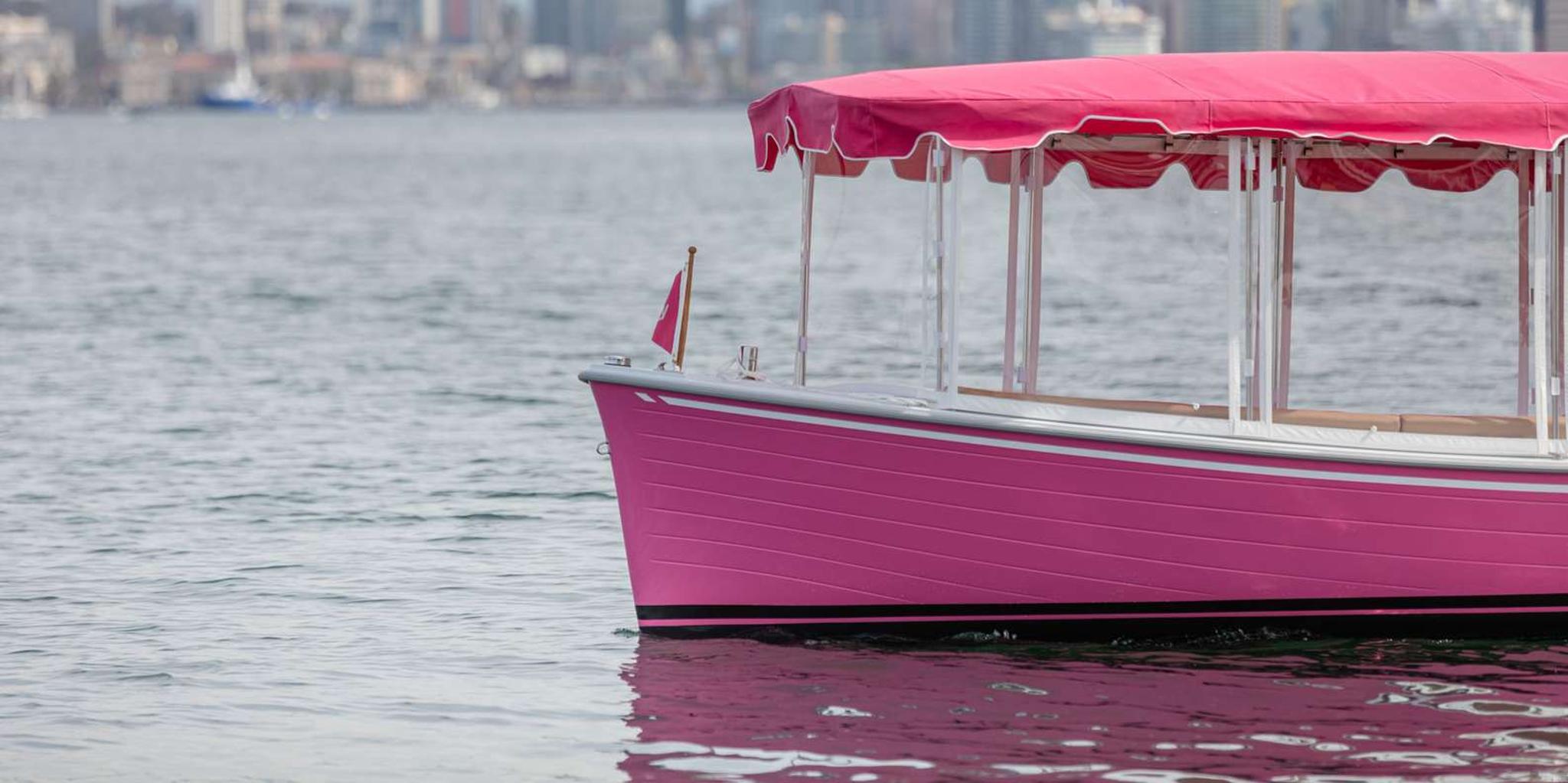 San Diego Pink Boat Cruise - Image 4