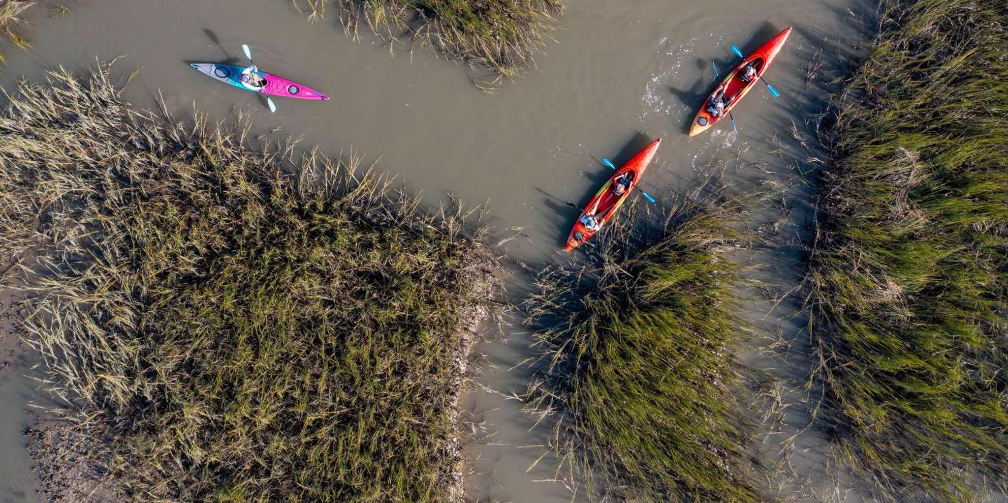 Charleston Paddleboard and Kayak Rentals - Image 5