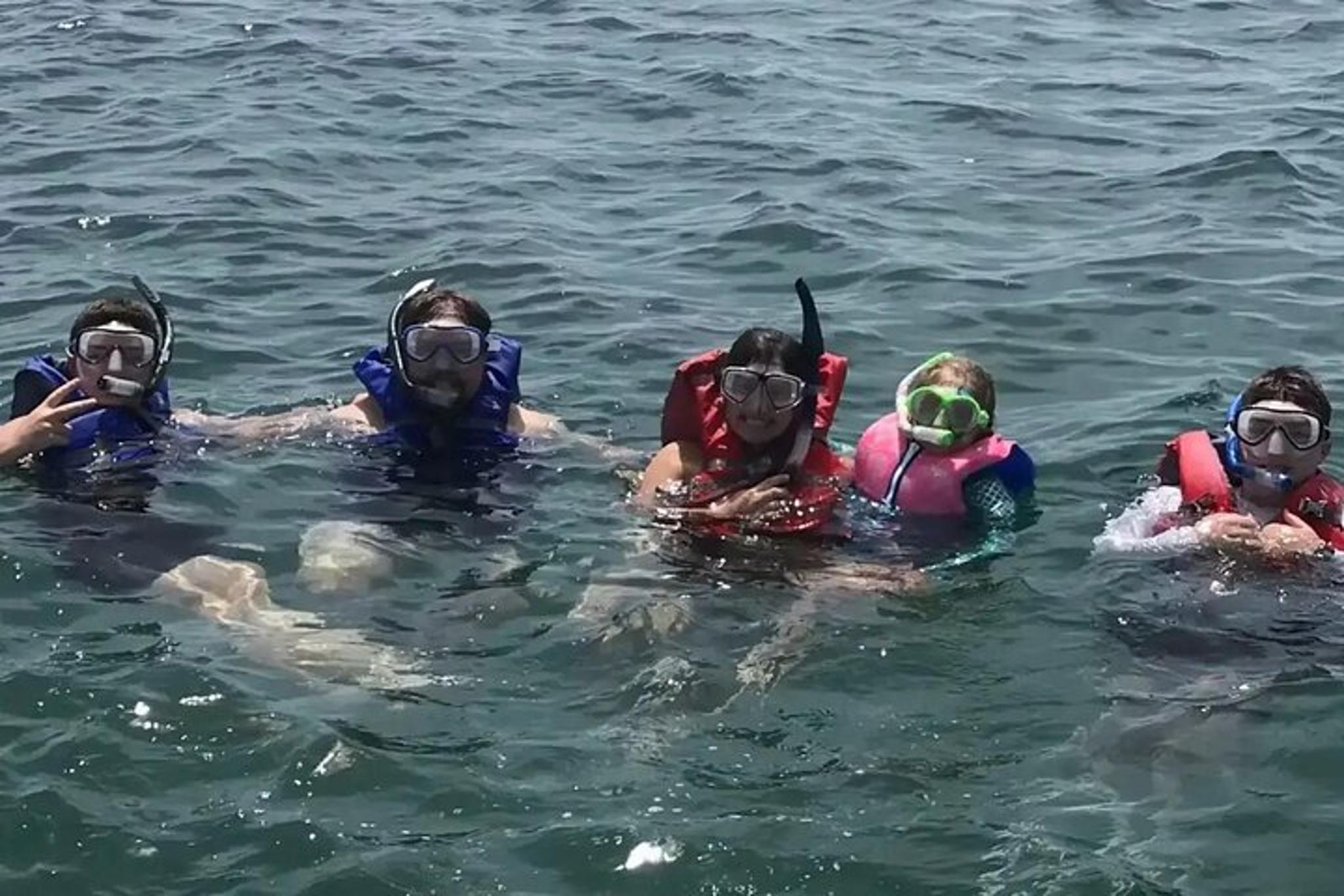 Panama City Swim with Dolphins and Snorkeling Tour - Image 1