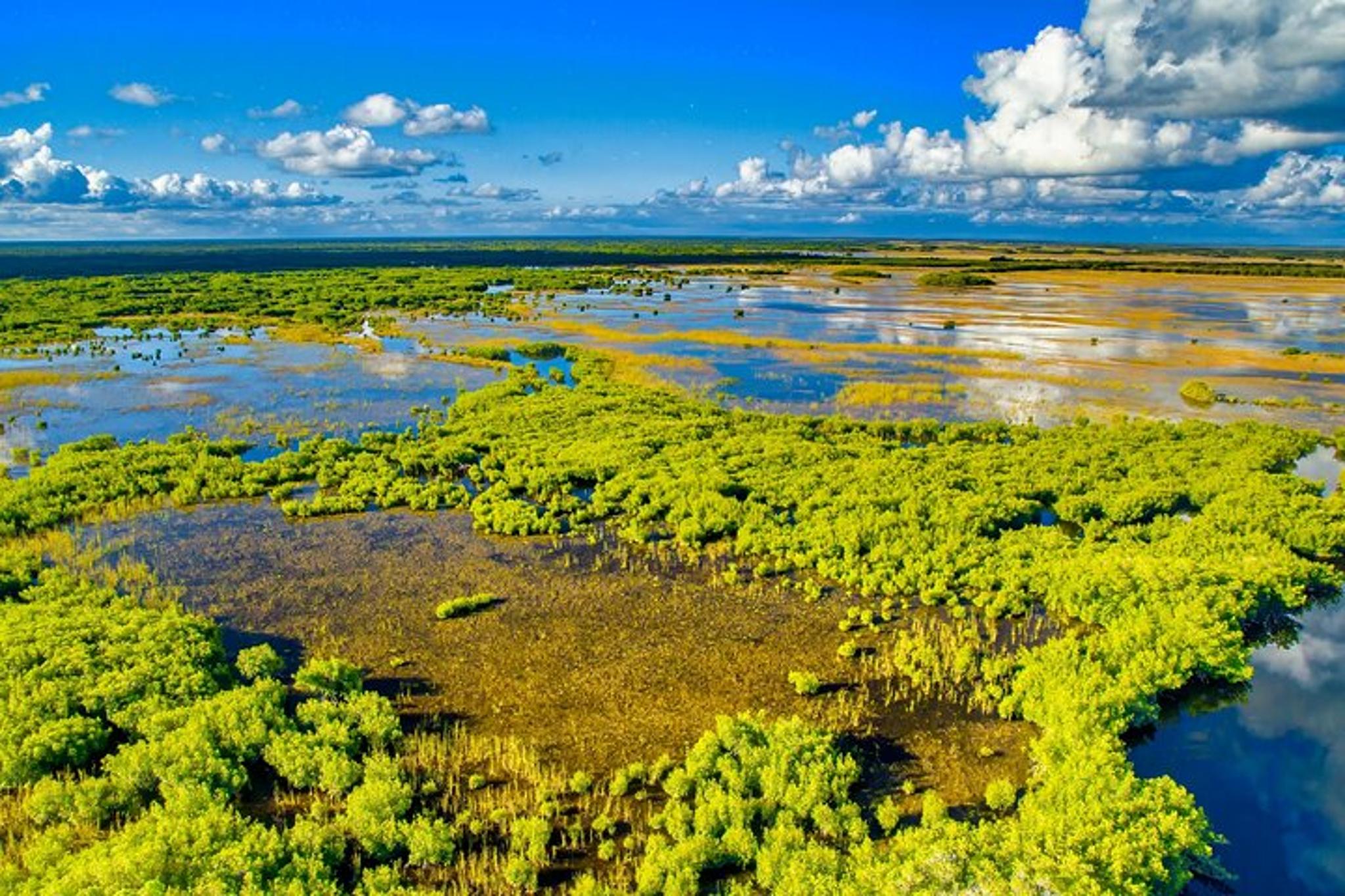 Everglades National Park Self-Guided Audio Tour - Image 6
