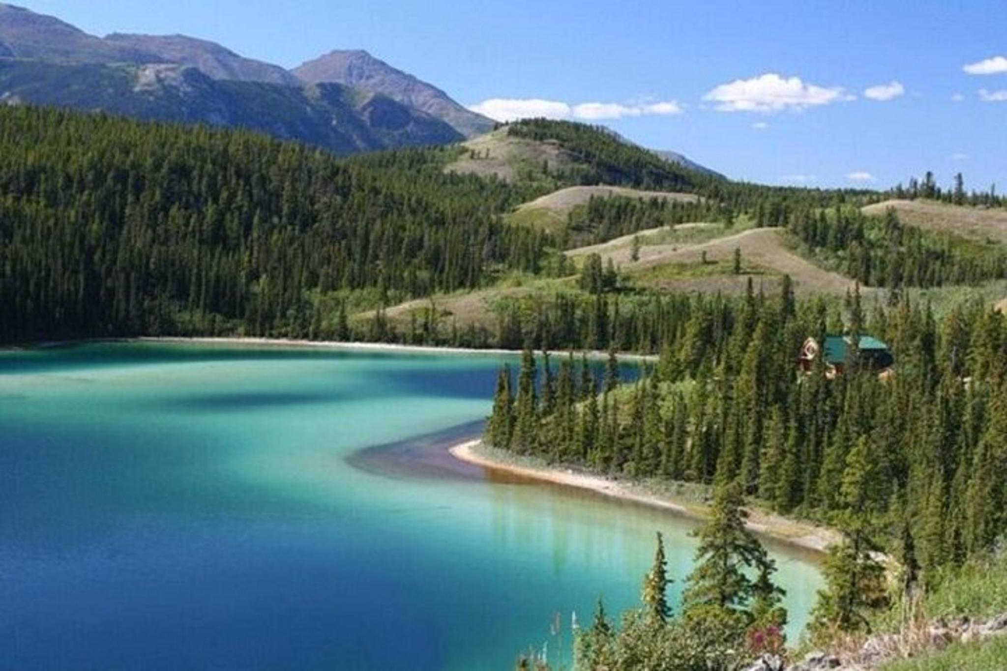 Skagway Yukon Tour with Scenic Stops 6.5 hr - Image 2