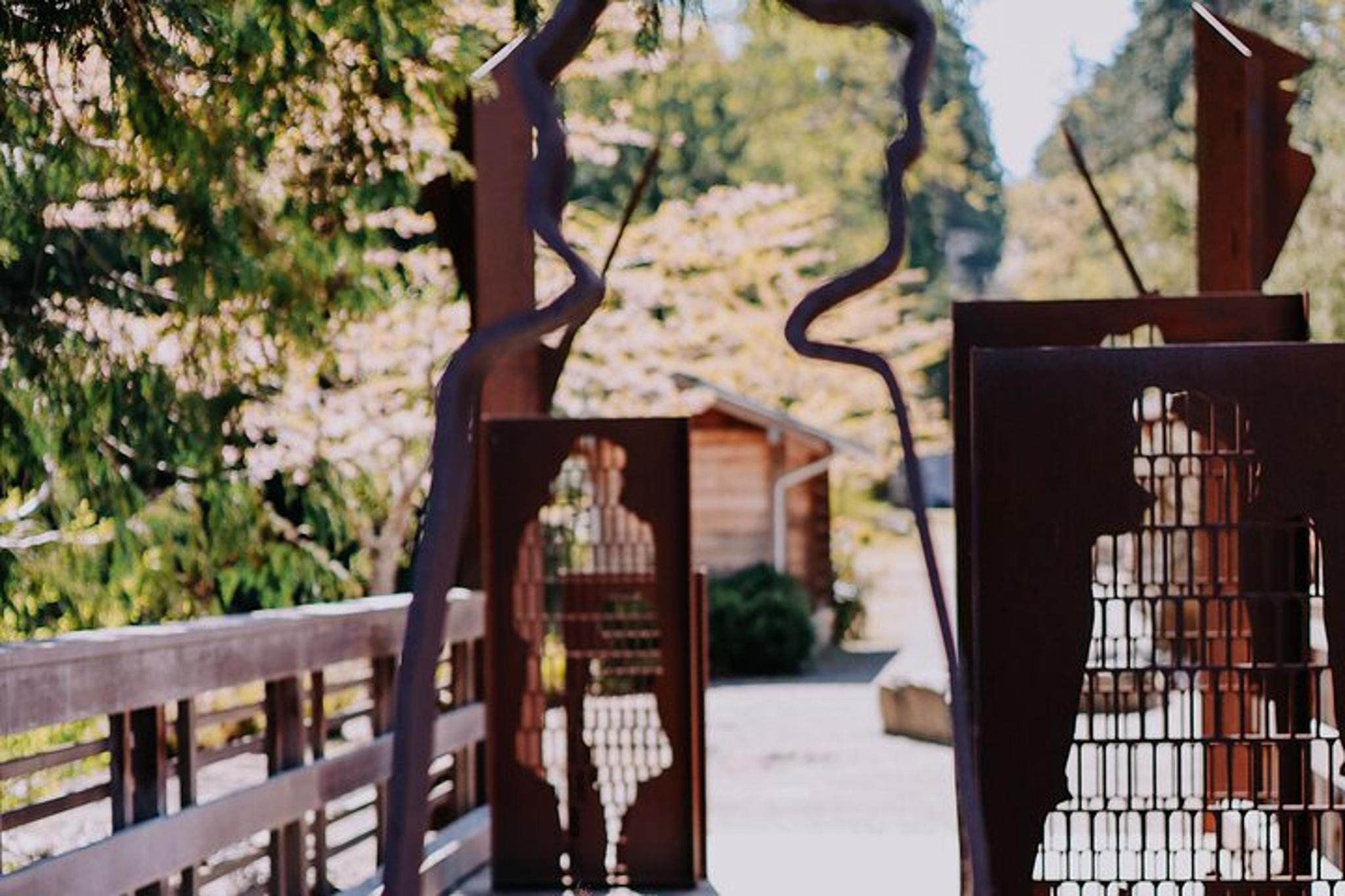 Bainbridge Island Discovery Tour 2 hr - Image 6