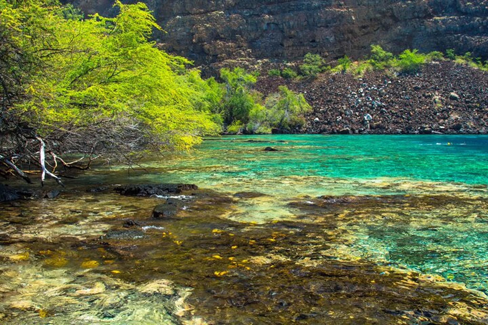 Captain Cook Snorkel Tour at Kealakekua Bay - Image 5