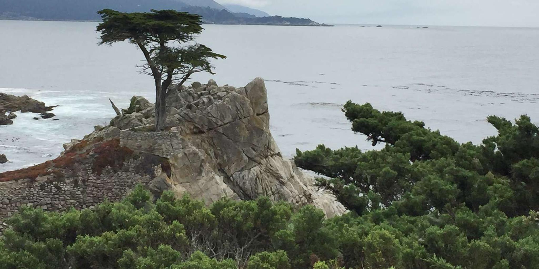 San Francisco Carmel, Monterey, and Big Sur Private Tour - Image 3