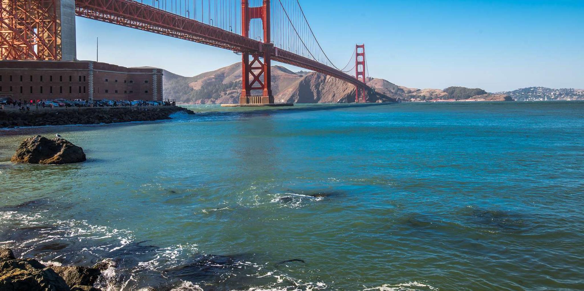 San Francisco Muir Woods and Sausalito Tour - Image 2