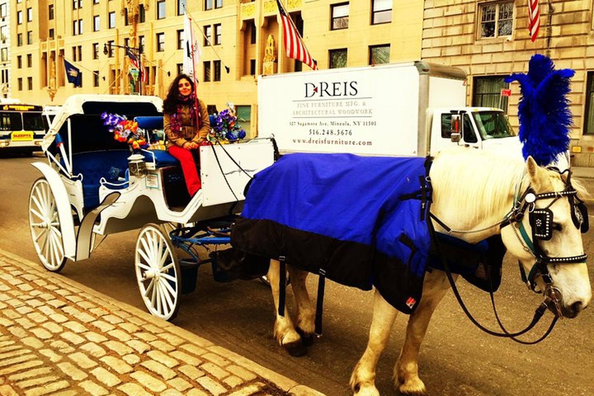 New York City Horse Carriage Tour Central Park - Image 2