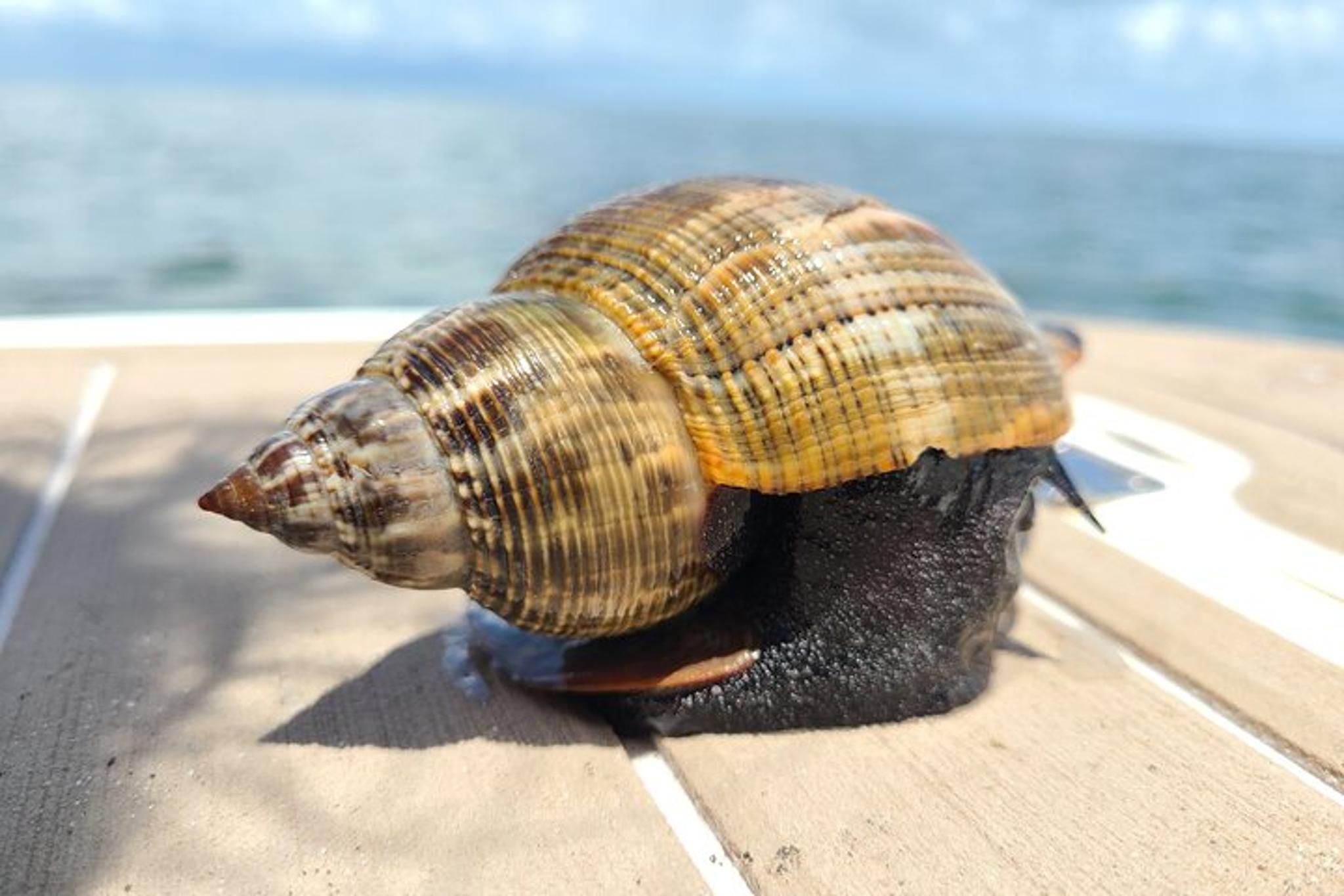 Clearwater Beach Private Boating Funship - 4 hr - Image 6