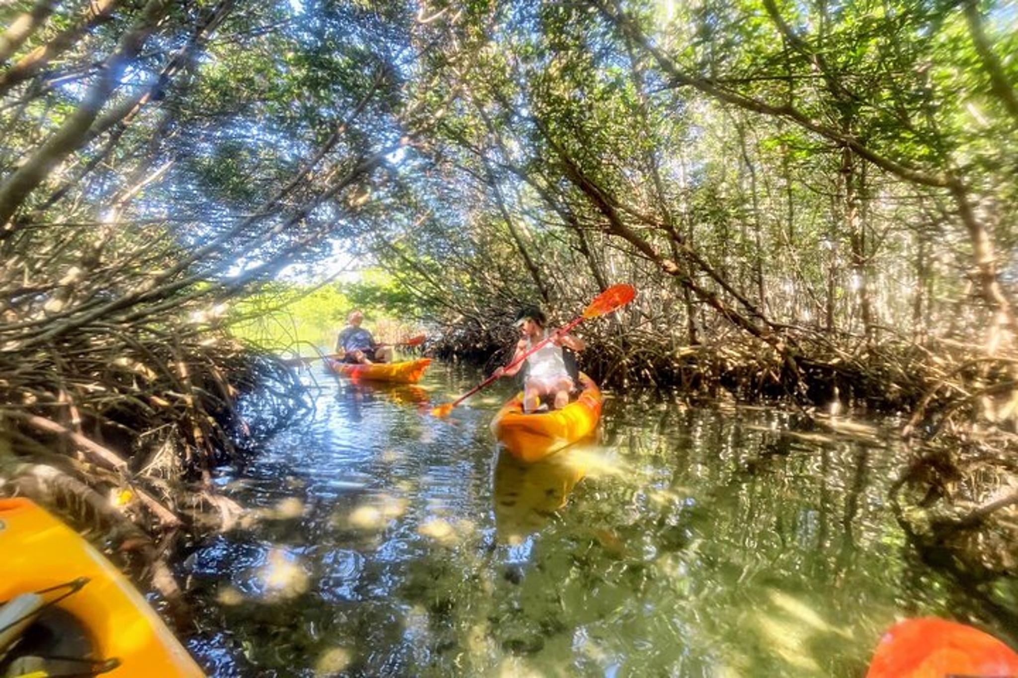 St. Petersburg Kayak Expedition to Shell Key - Image 2