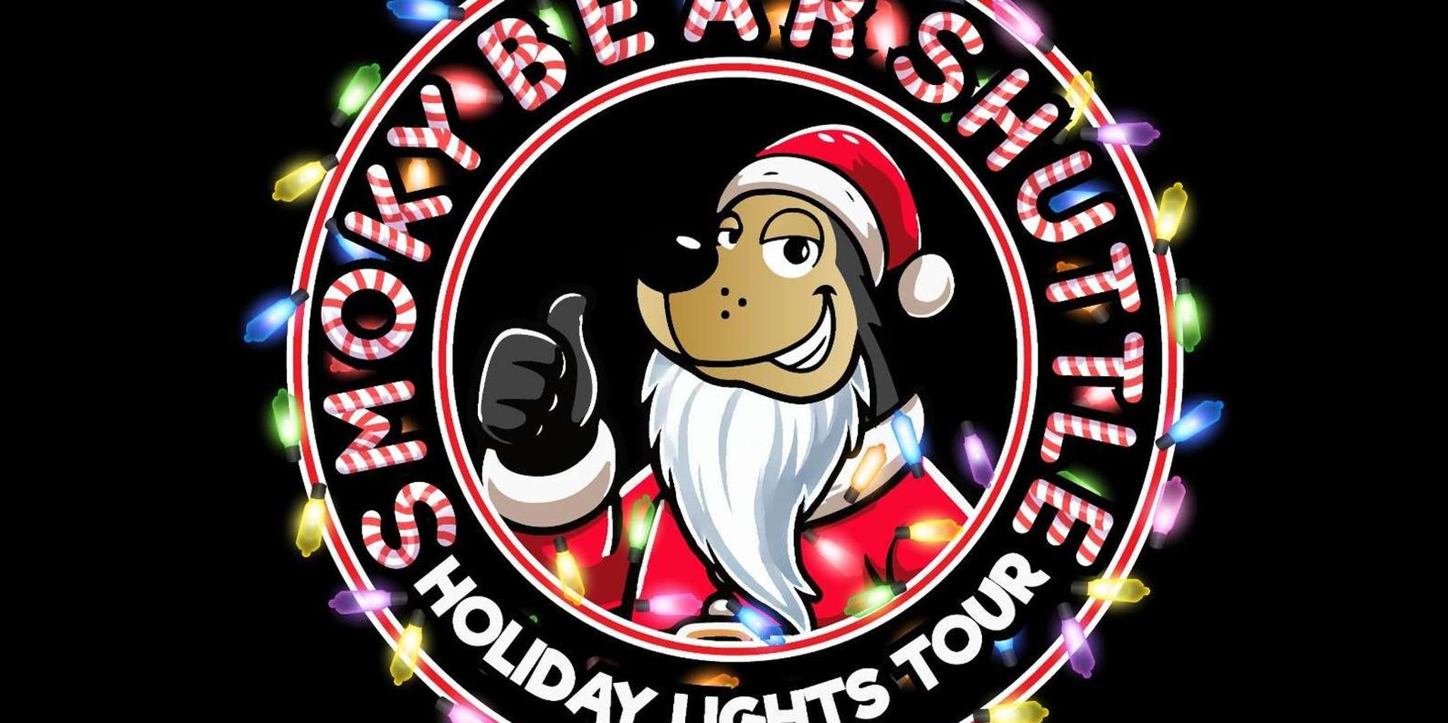 Pigeon Forge Holiday Lights Tour - Image 6