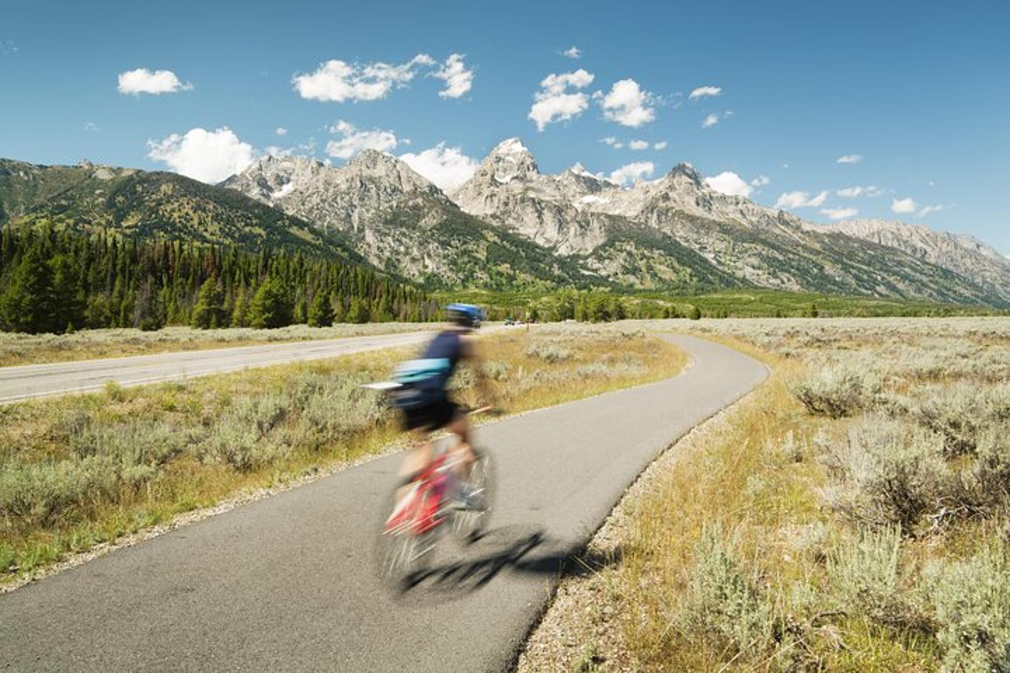 Grand Teton Wildlife & Biking Tour