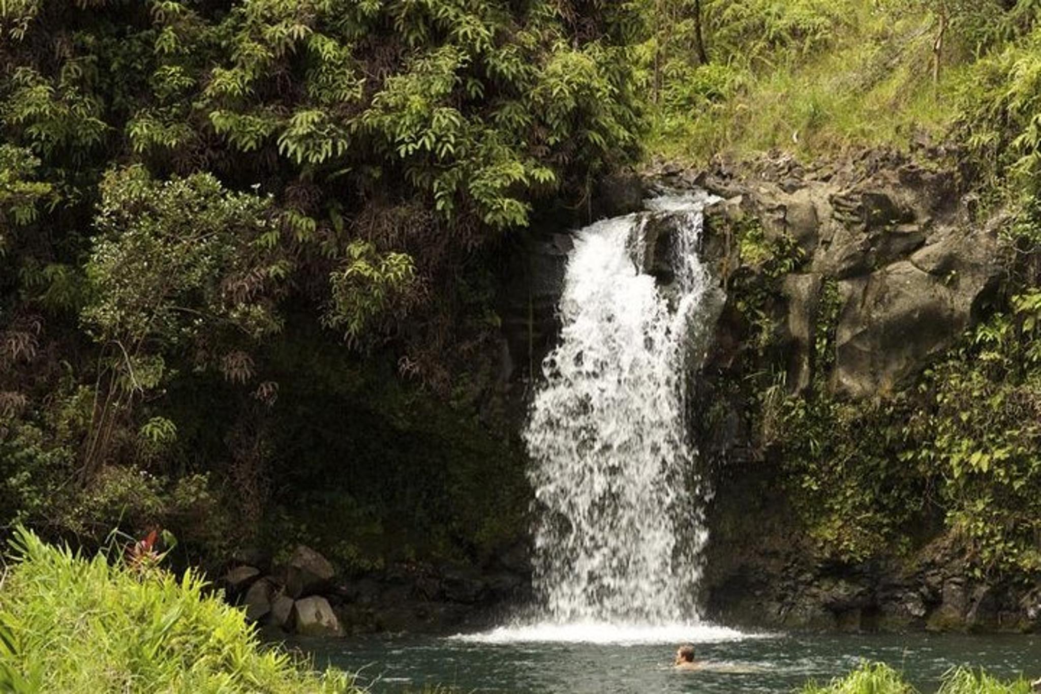 Maui Waterfall and Rainforest Adventure - Image 2