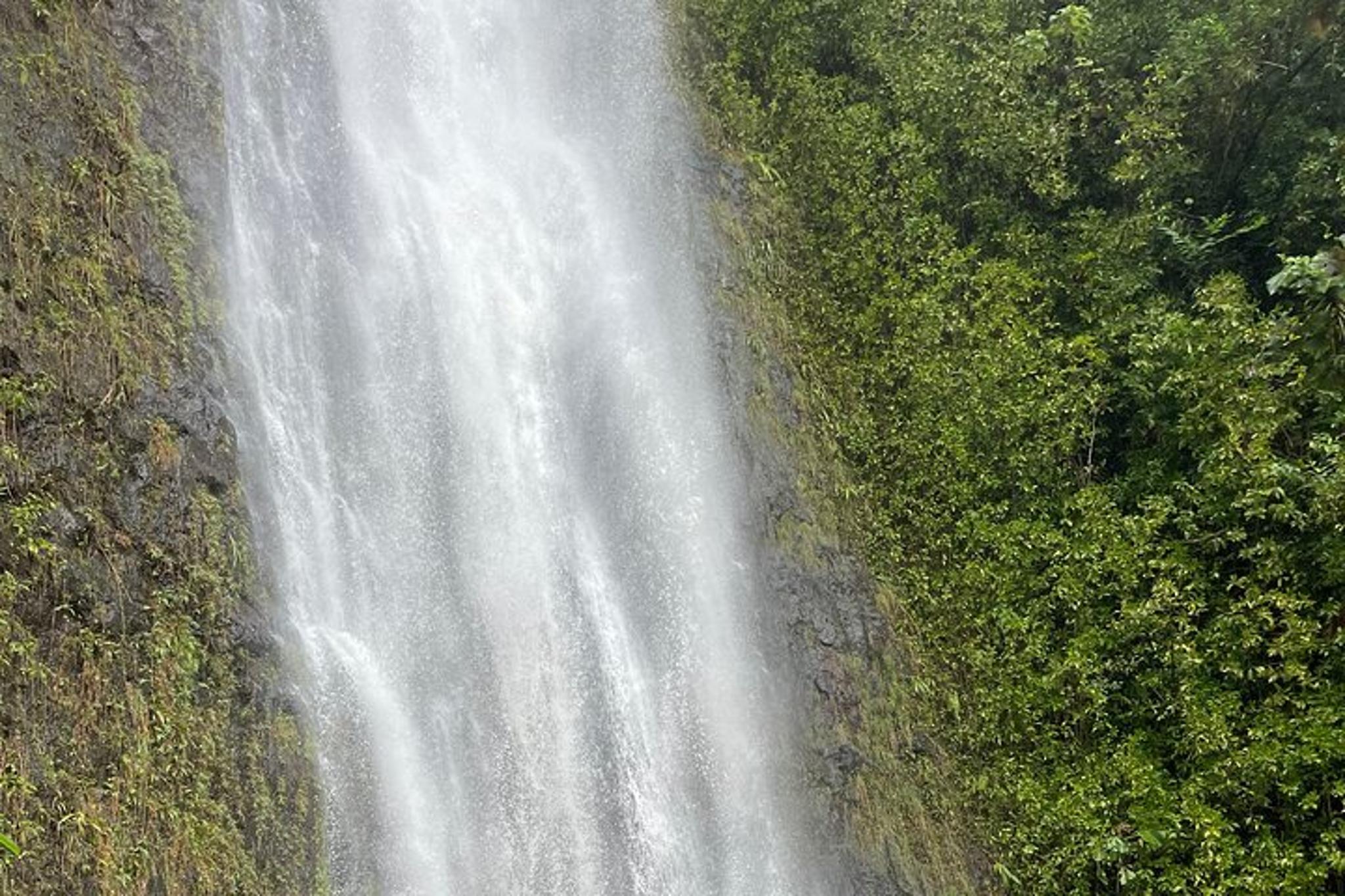 Oahu Swim with Turtles Tour - Image 6